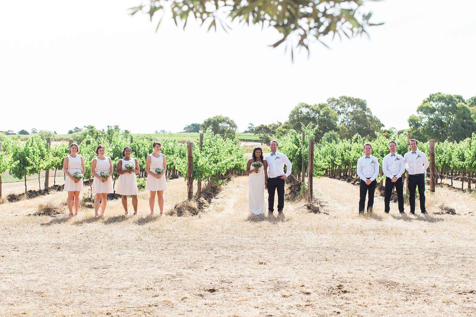 McLaren Vale Winery Wedding 32.jpg