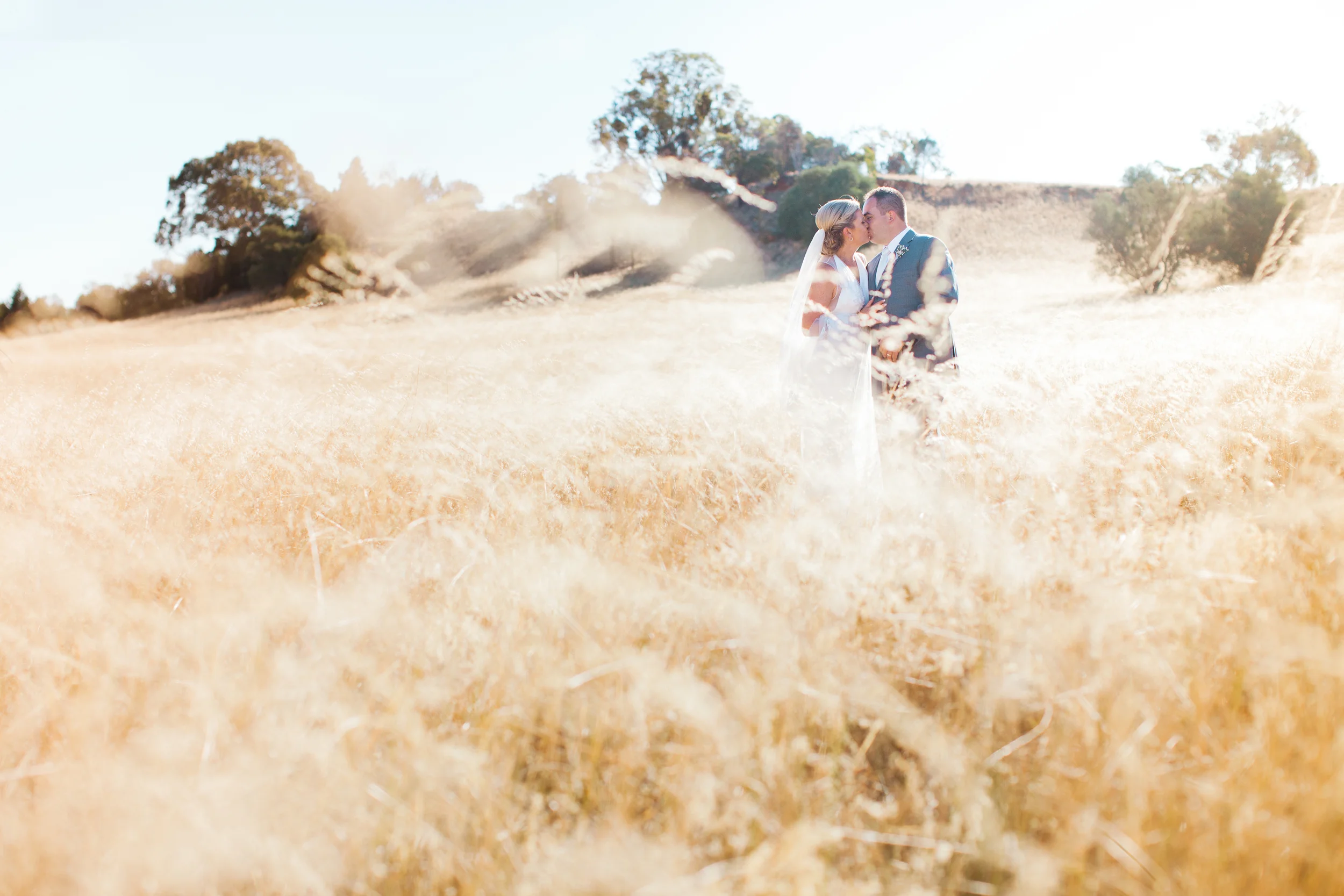 Louise & Ben's beautiful Barossa Wedding at the Novotel