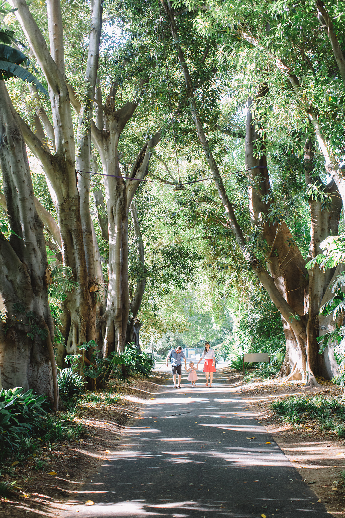 Natural Family Portraits Adelaide Botanic Gardens 014.jpg