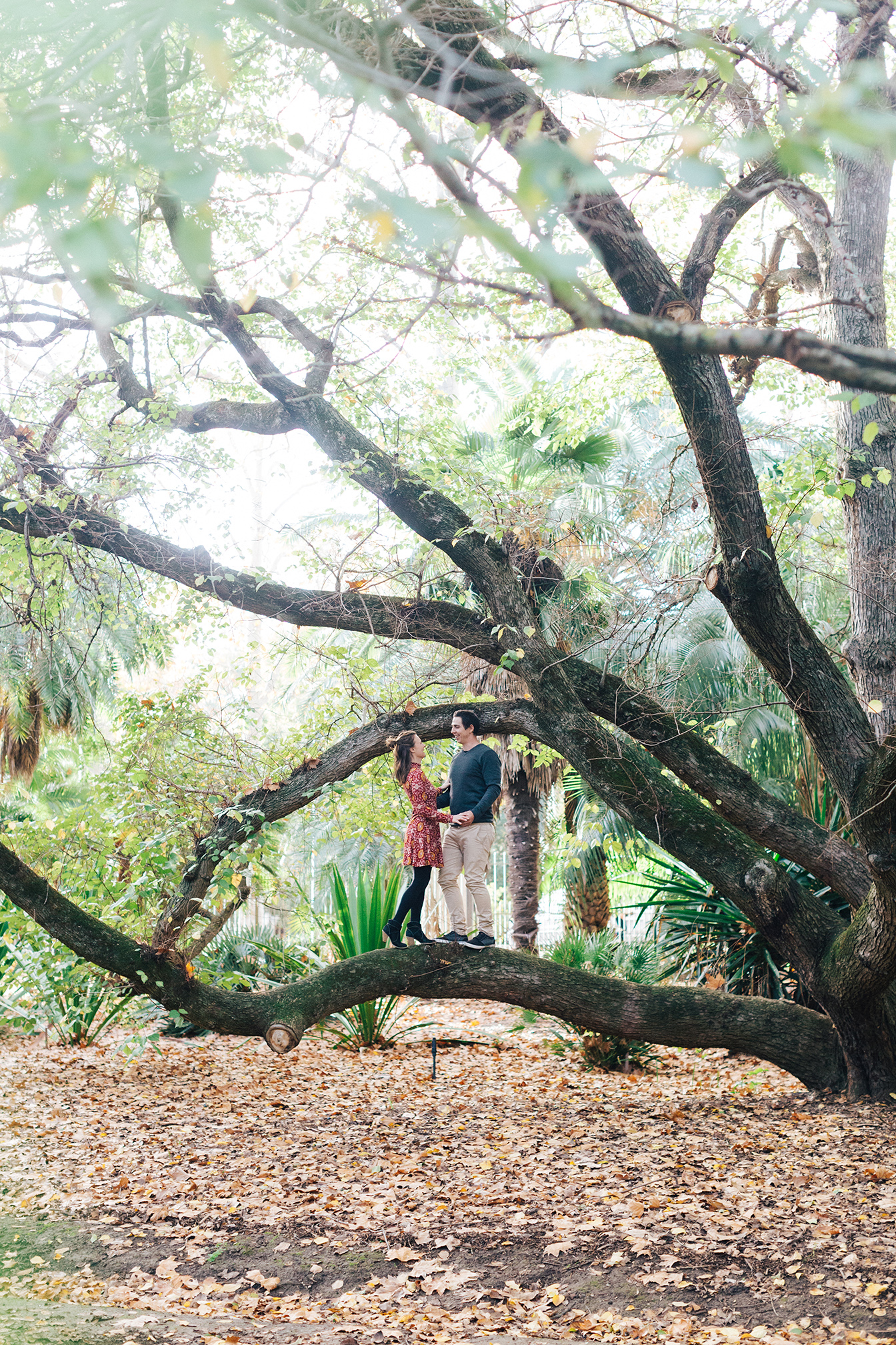 Sunny Winter Engagement Session 04.jpg