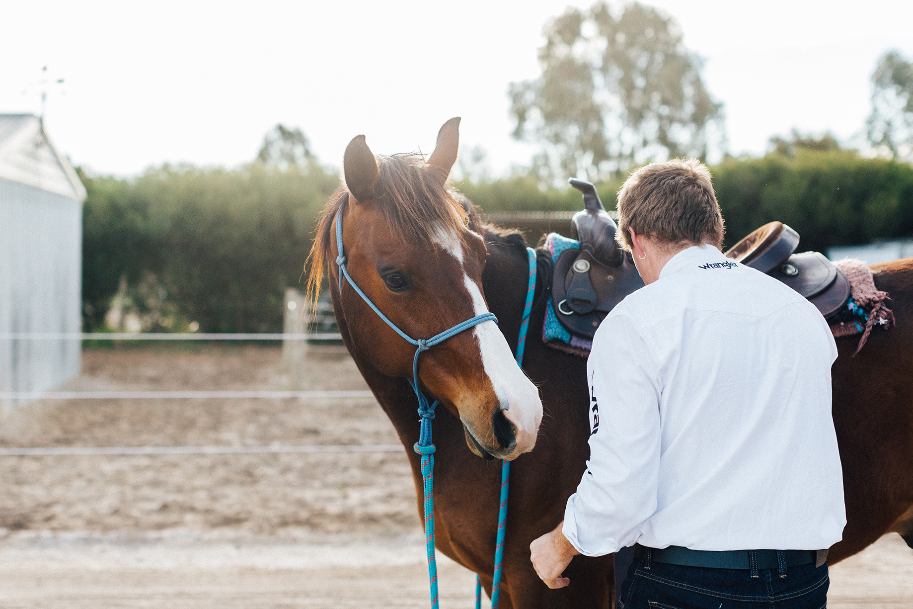 Bridal Portraits Horses 005.jpg