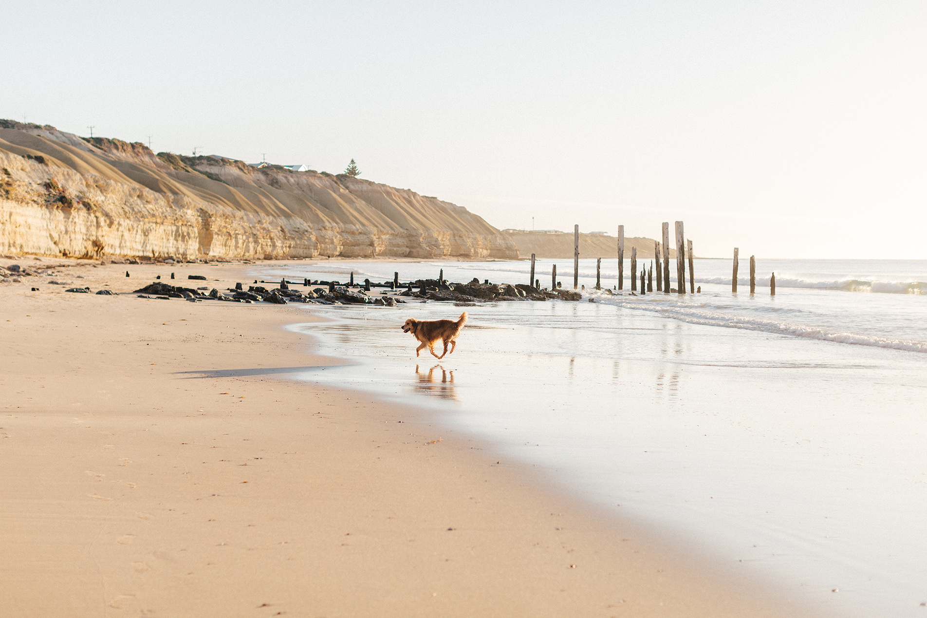 Beach sunset engagement photos willunga 008.jpg