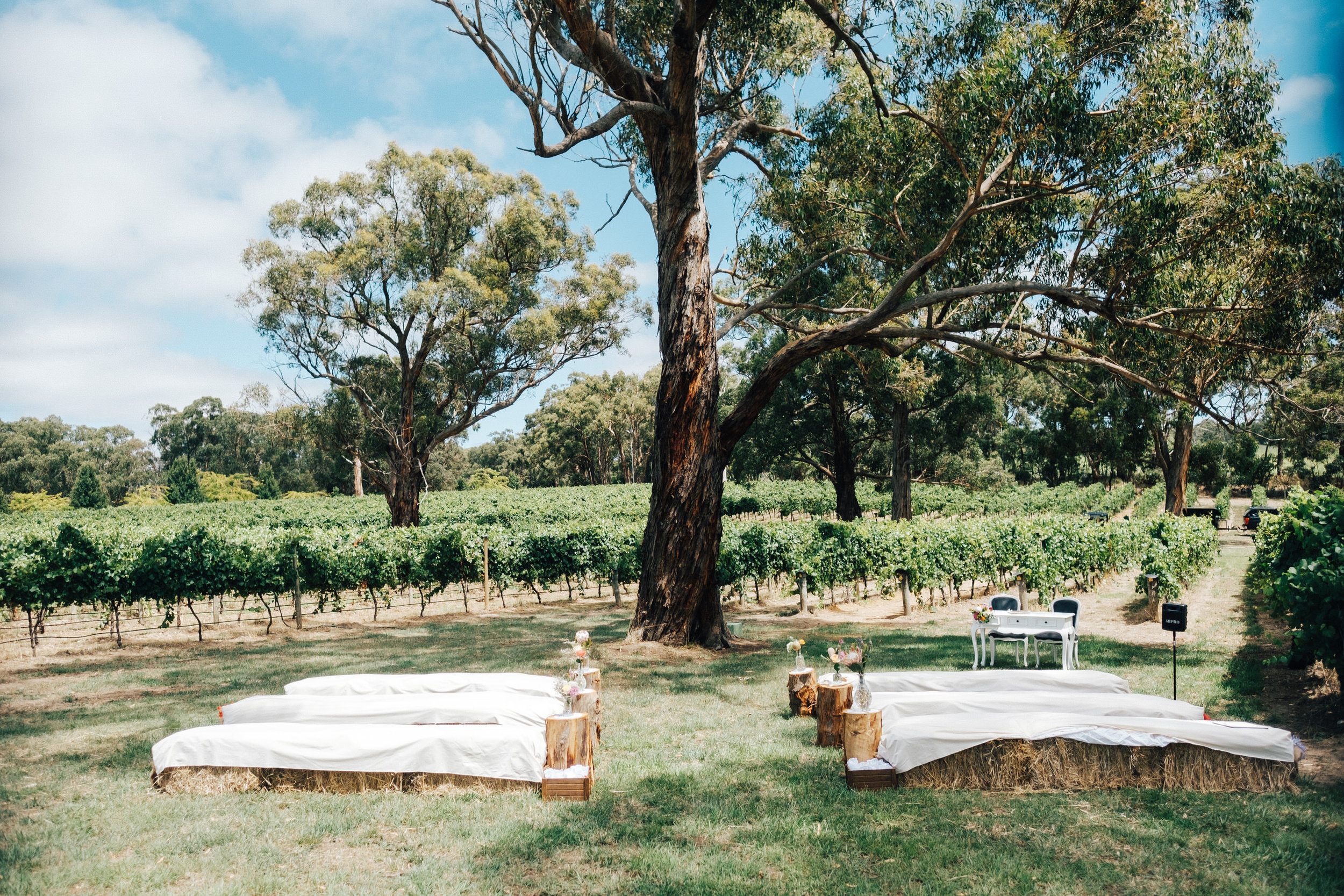 australia-day-backyard-vineyard-wedding-19.jpg