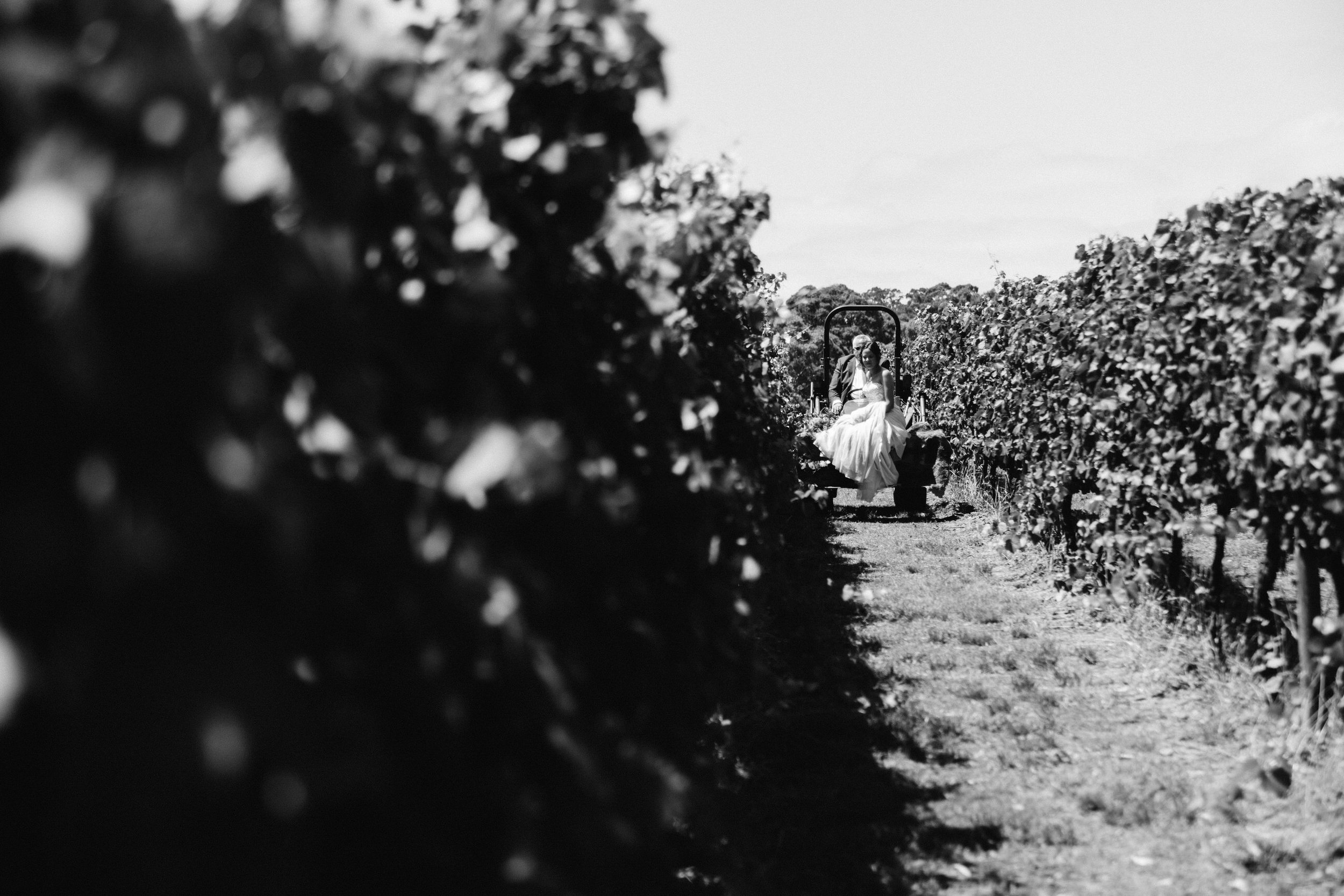 australia-day-backyard-vineyard-wedding-22.jpg