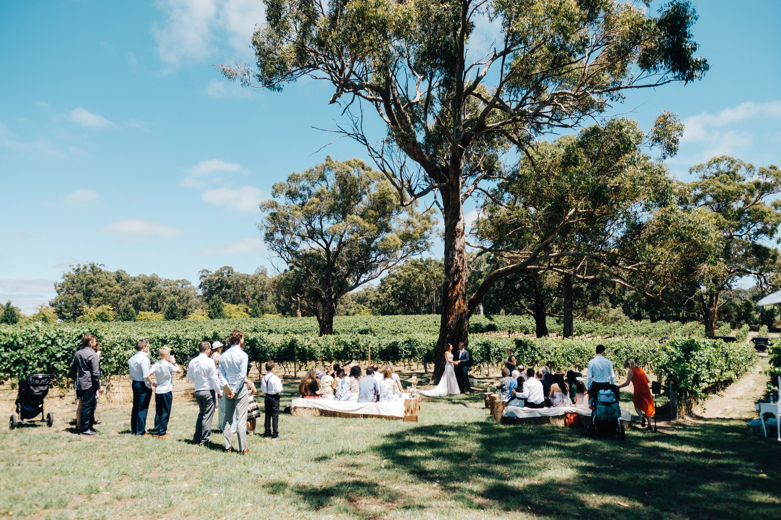 australia-day-backyard-vineyard-wedding-28.jpg