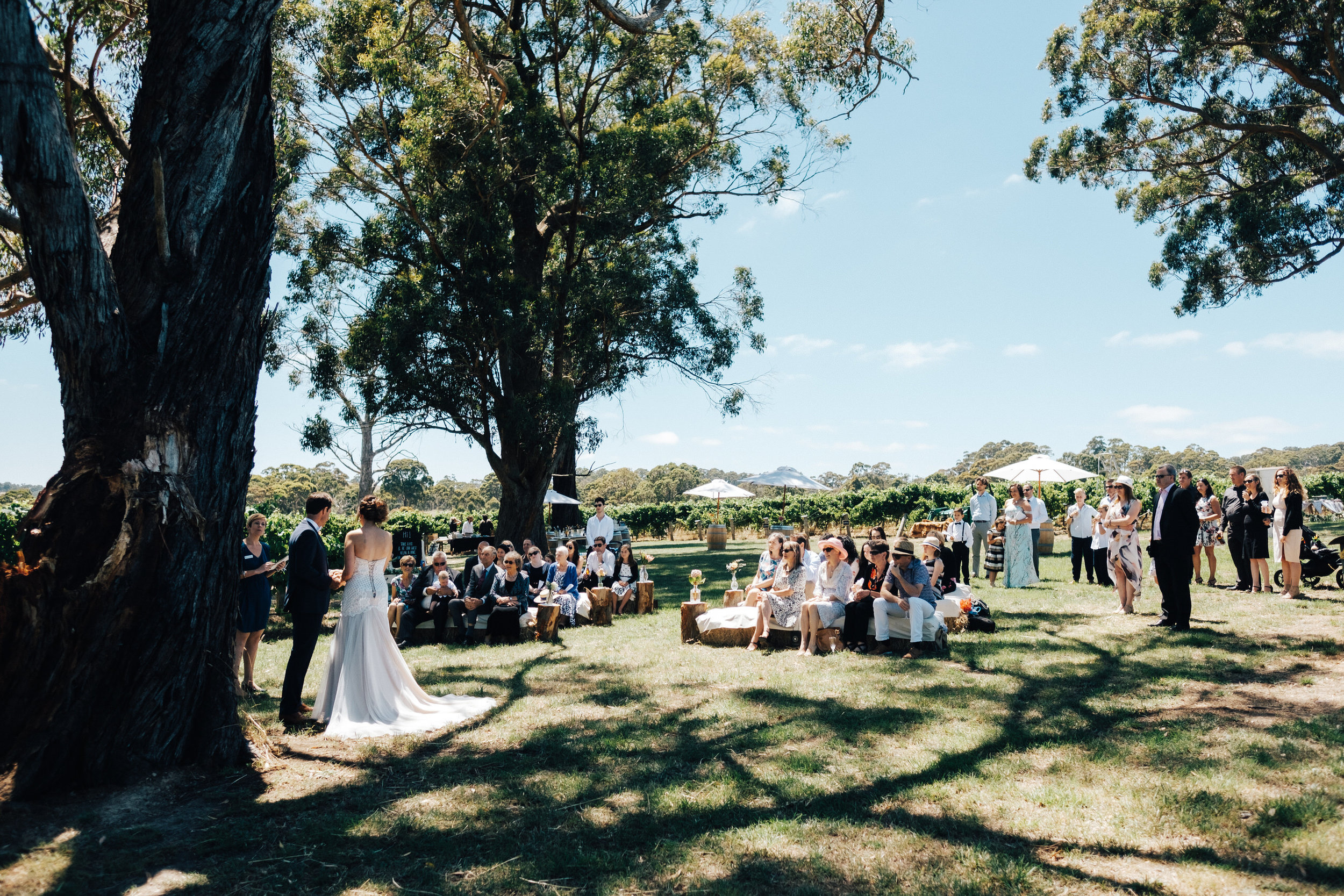 australia-day-backyard-vineyard-wedding-30.jpg
