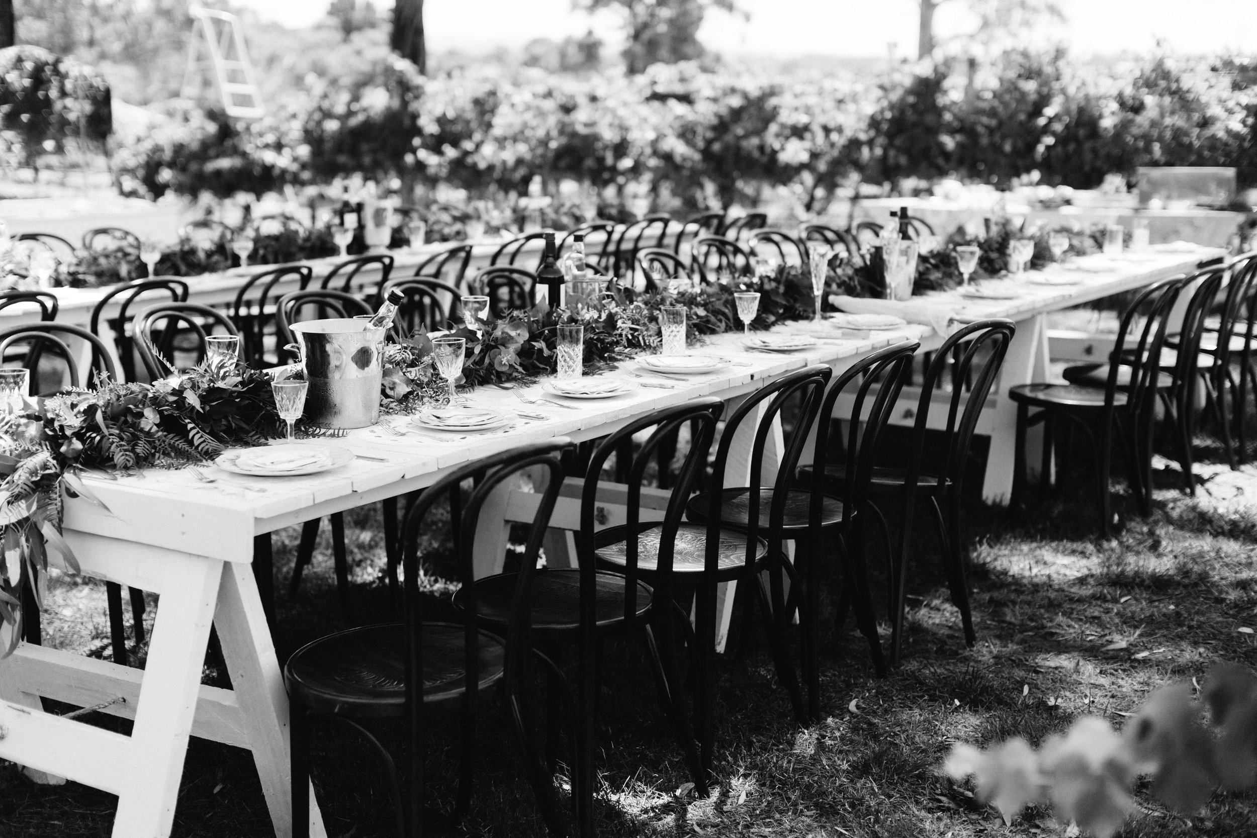 australia-day-backyard-vineyard-wedding-49.jpg