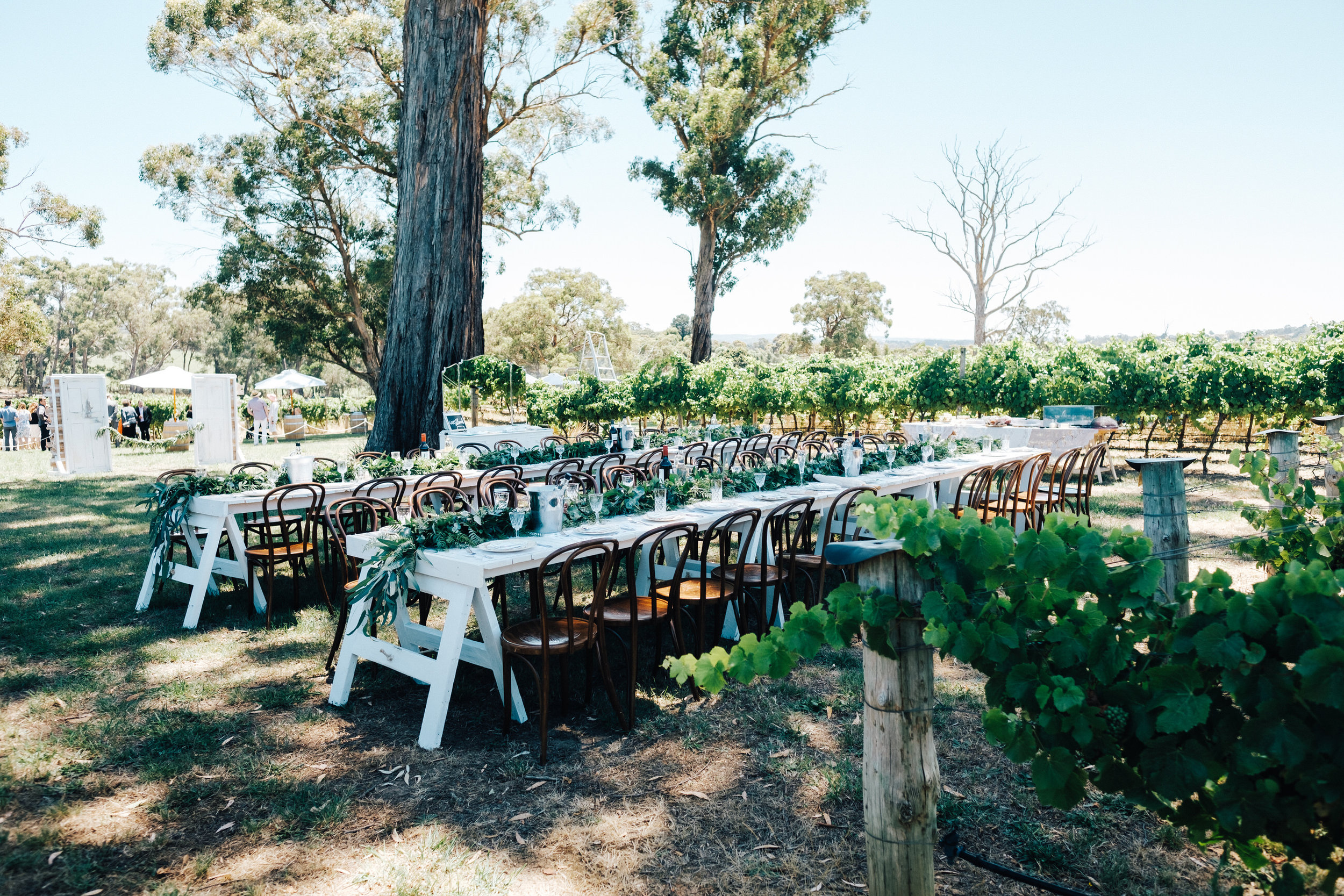 australia-day-backyard-vineyard-wedding-48.jpg