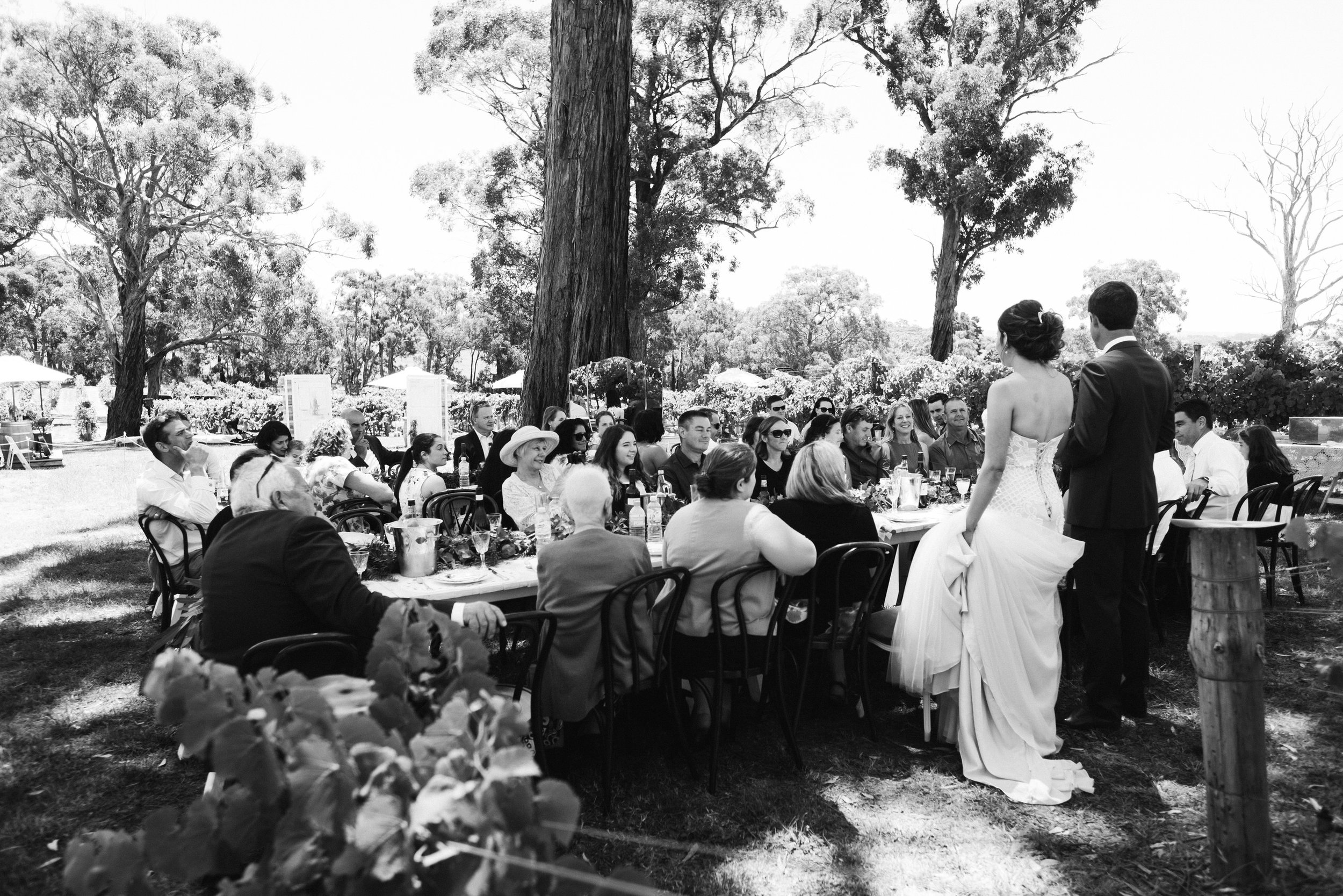 australia-day-backyard-vineyard-wedding-72.jpg