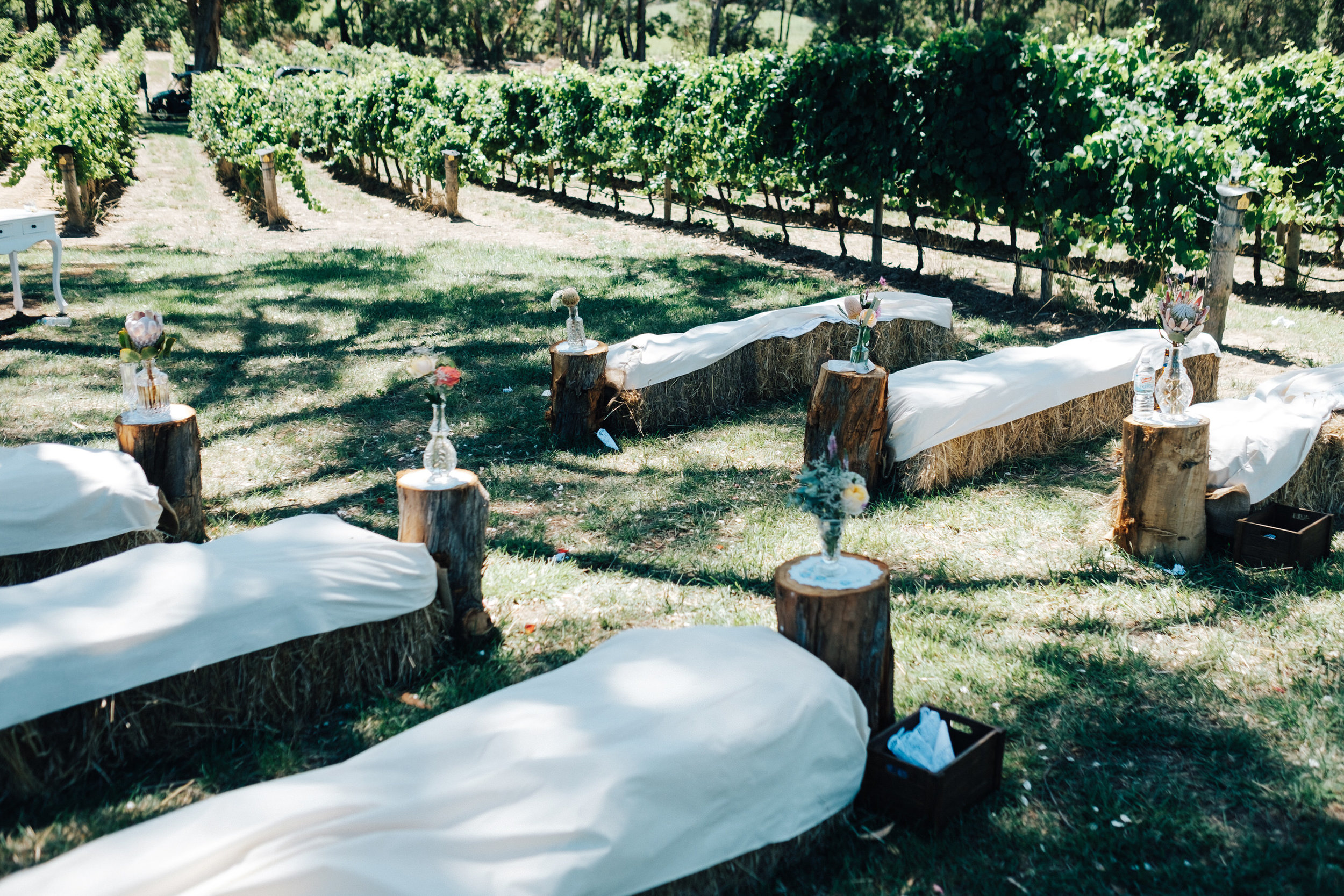 australia-day-backyard-vineyard-wedding-78.jpg