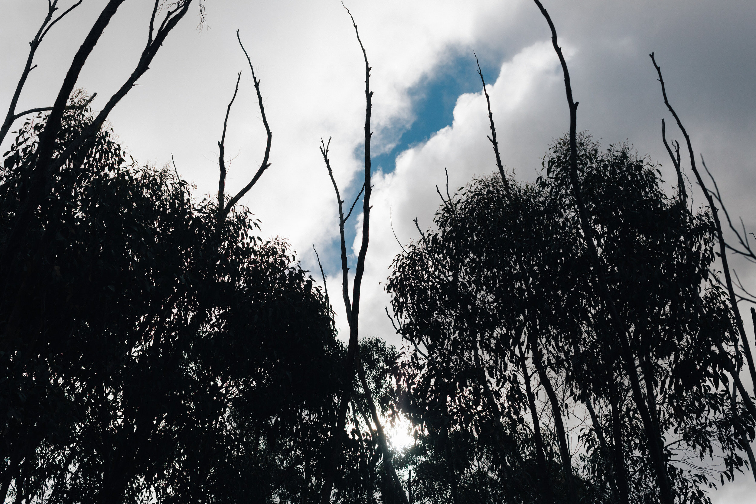 Mylor Farm Elopement South Australia 044.jpg