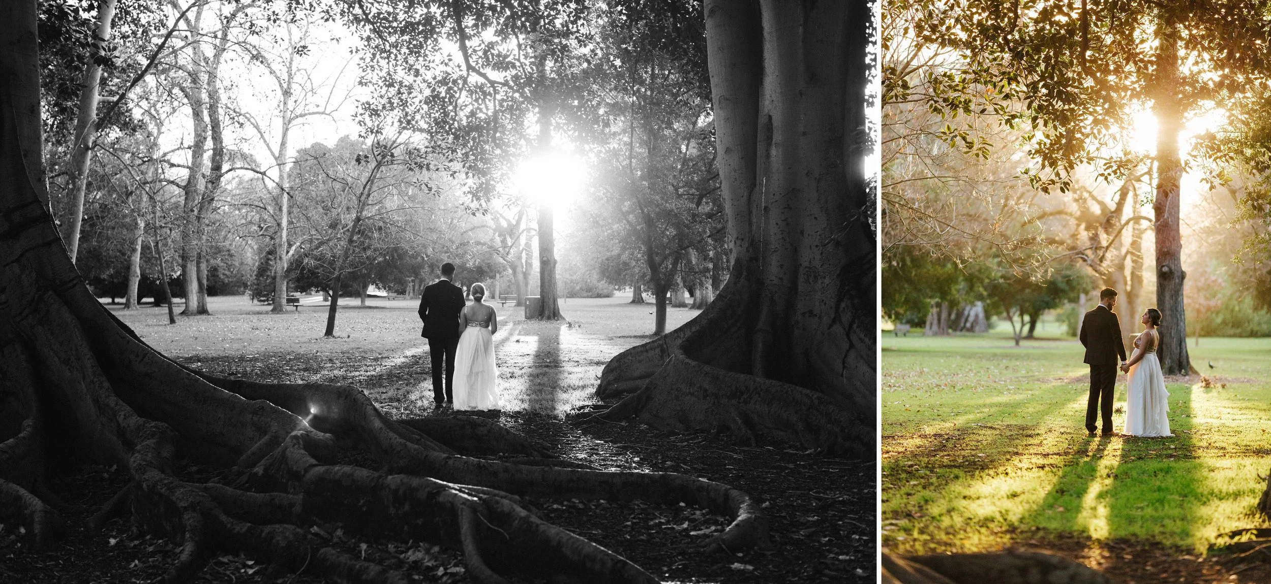 Adelaide Botanic Park Elopement 074.jpg