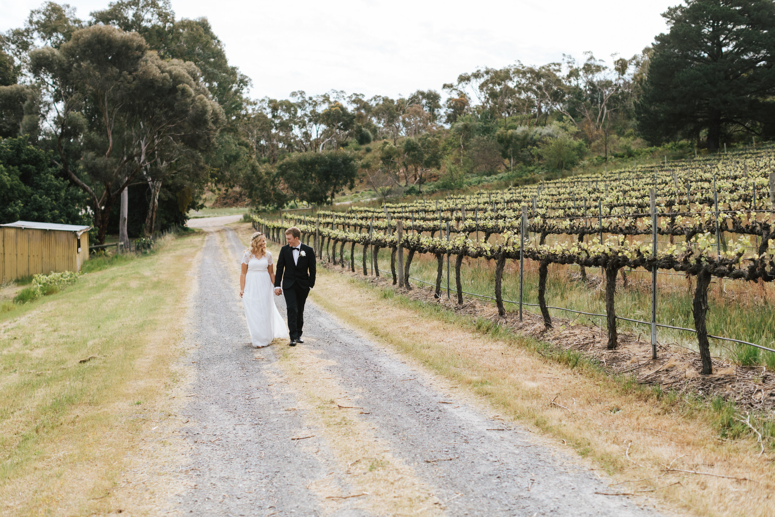 Currant Shed Lunch Wedding McLaren Vale 082.jpg