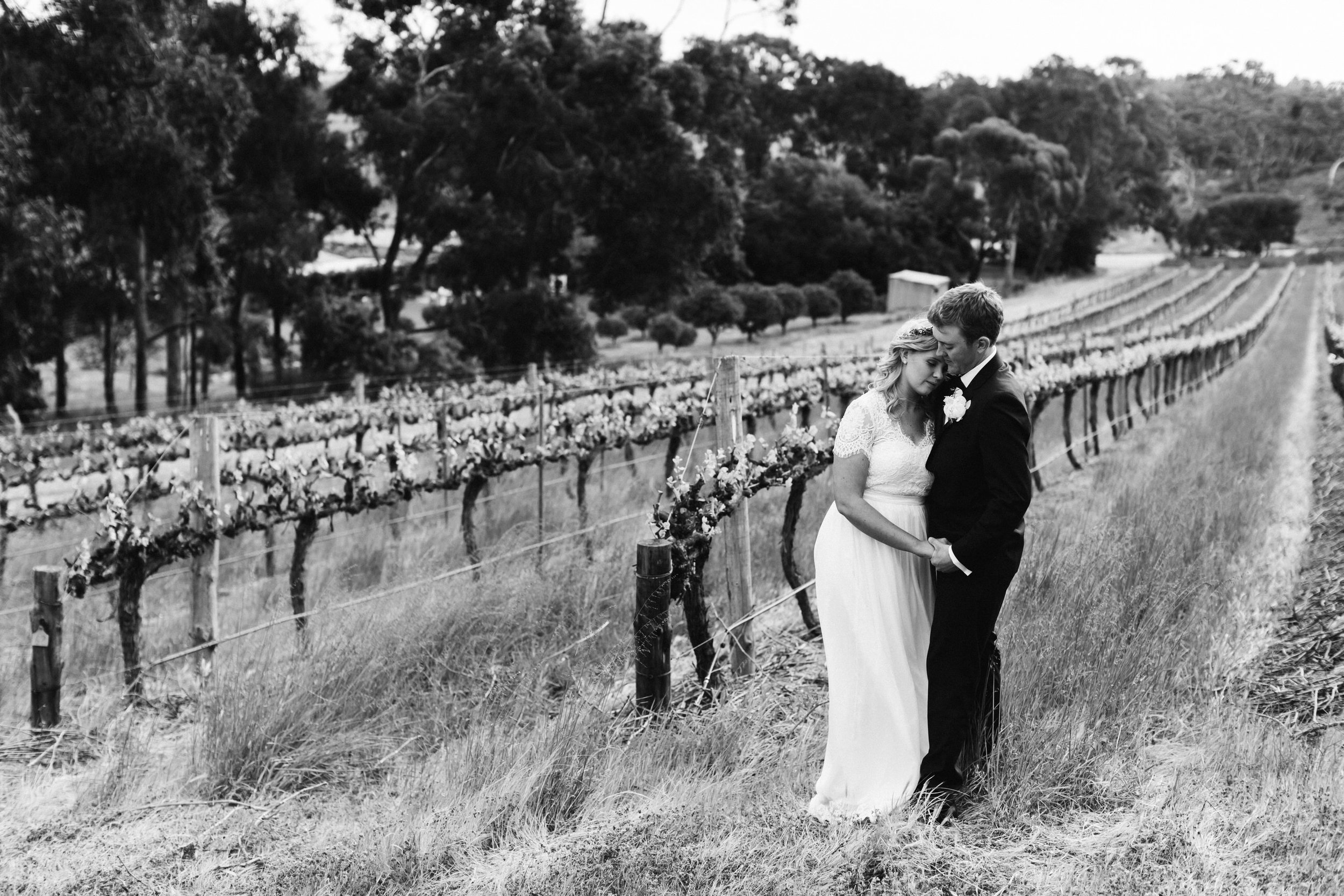 Currant Shed Lunch Wedding McLaren Vale 085.jpg
