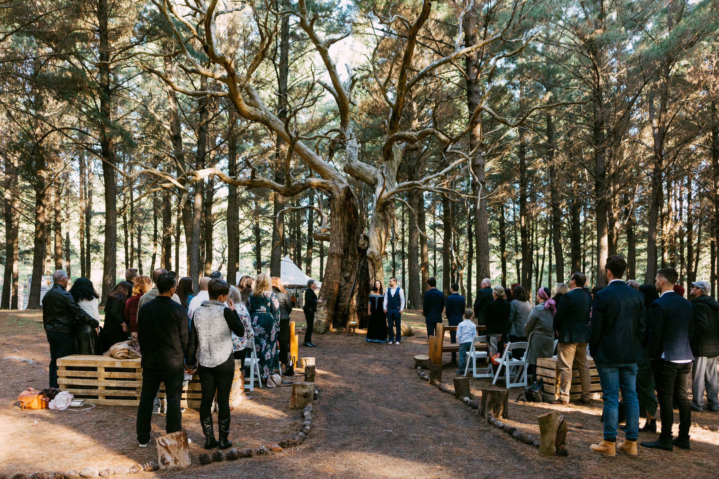 Bohemian Forest Wedding Adelaide Kuitpo 042.jpg