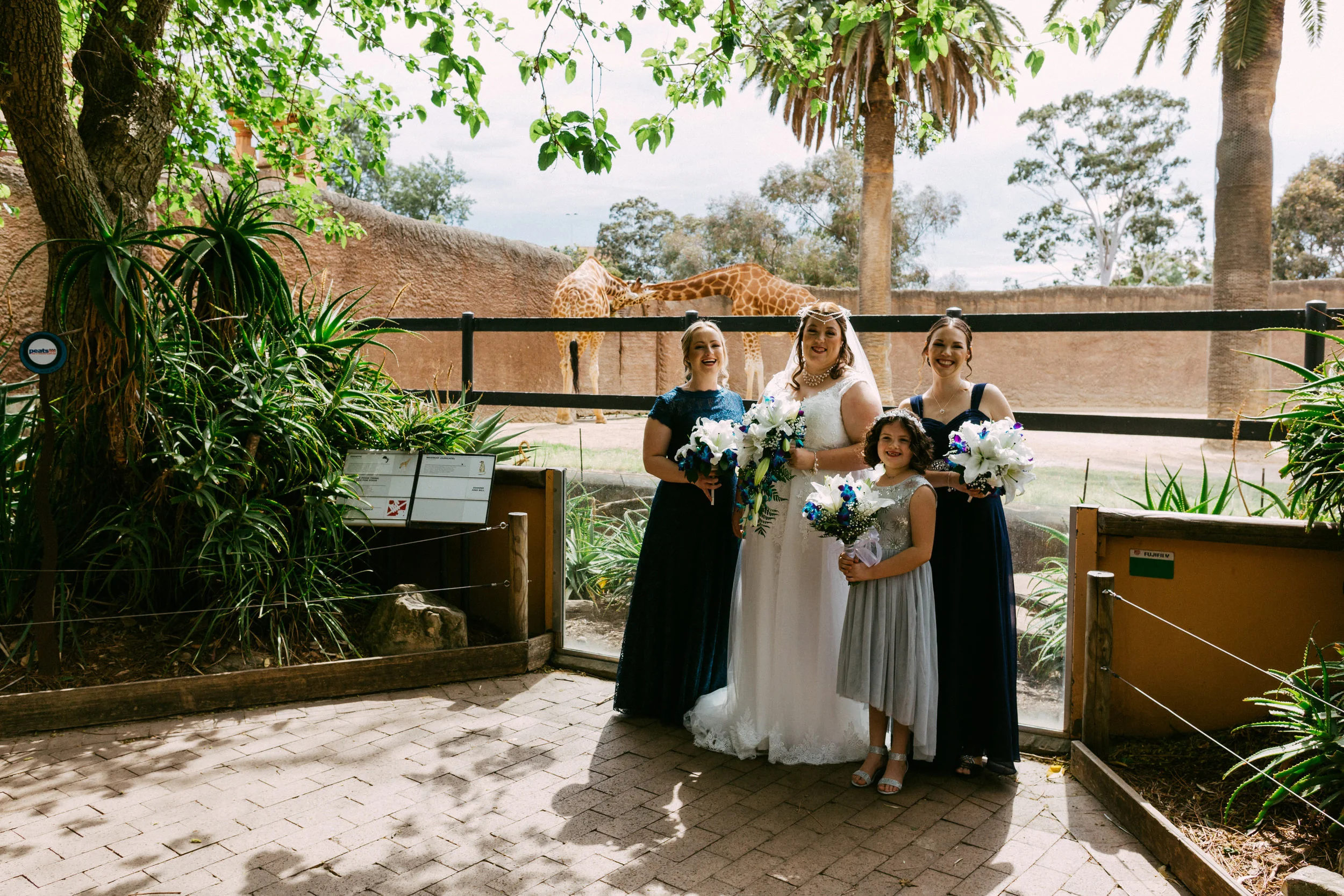 Adelaide Zoo Wedding in the Rain 031.jpg