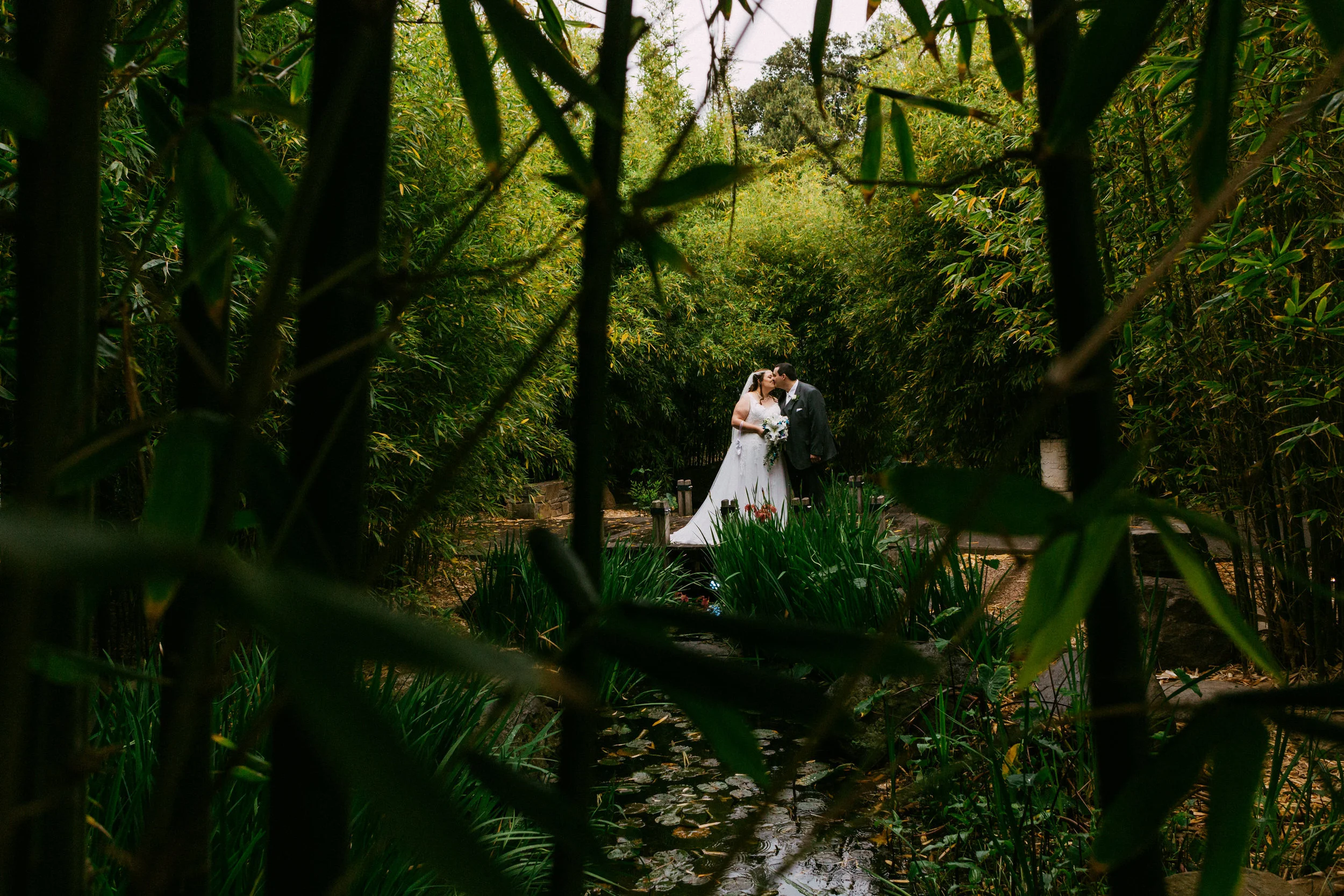 Adelaide Zoo Wedding in the Rain 061.jpg