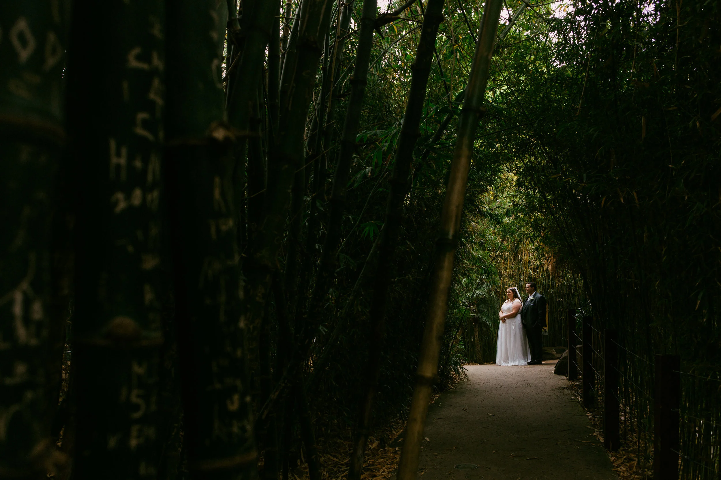 Adelaide Zoo Wedding in the Rain 067.jpg