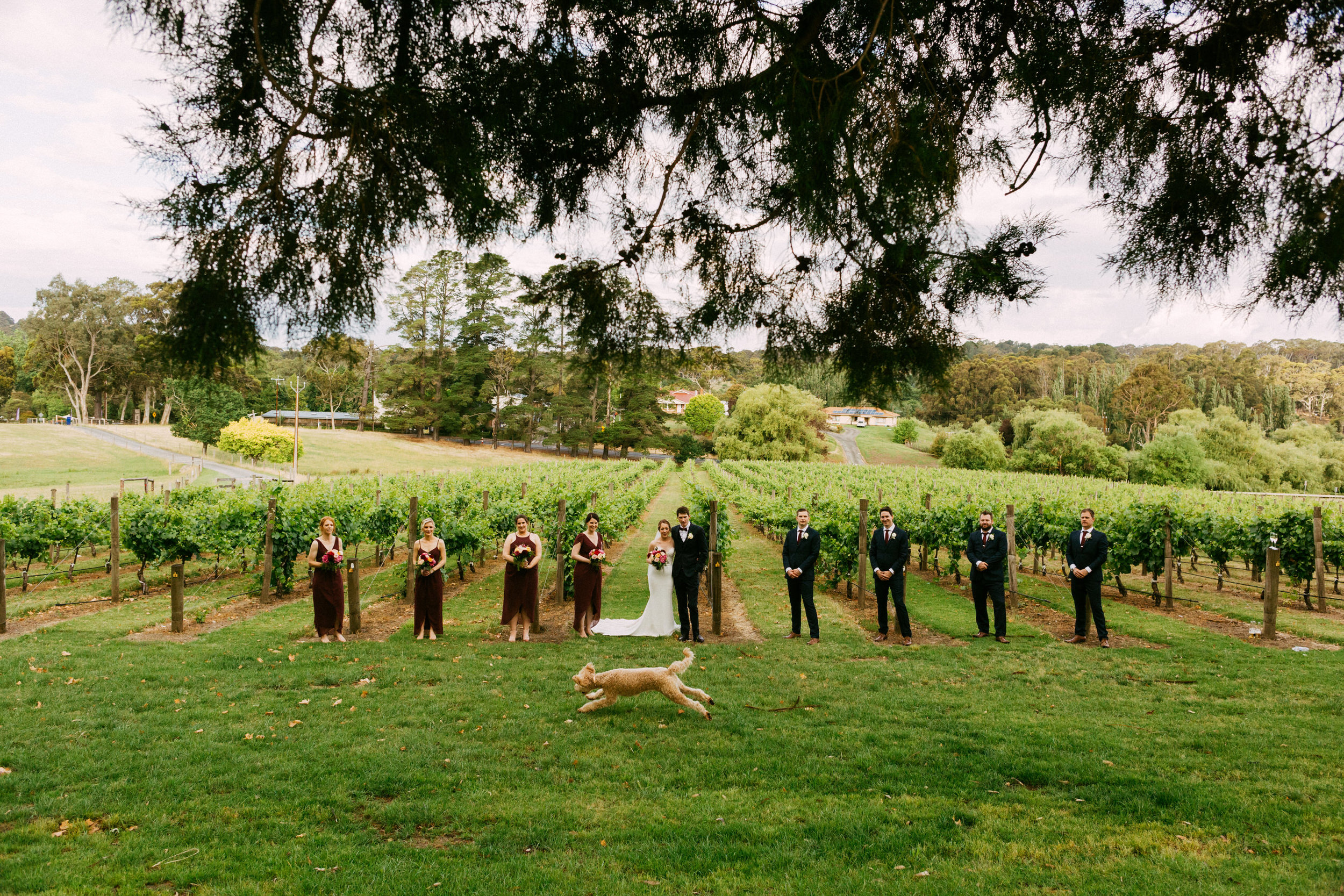 Maximillian Wedding Adelaide Hills 080.jpg