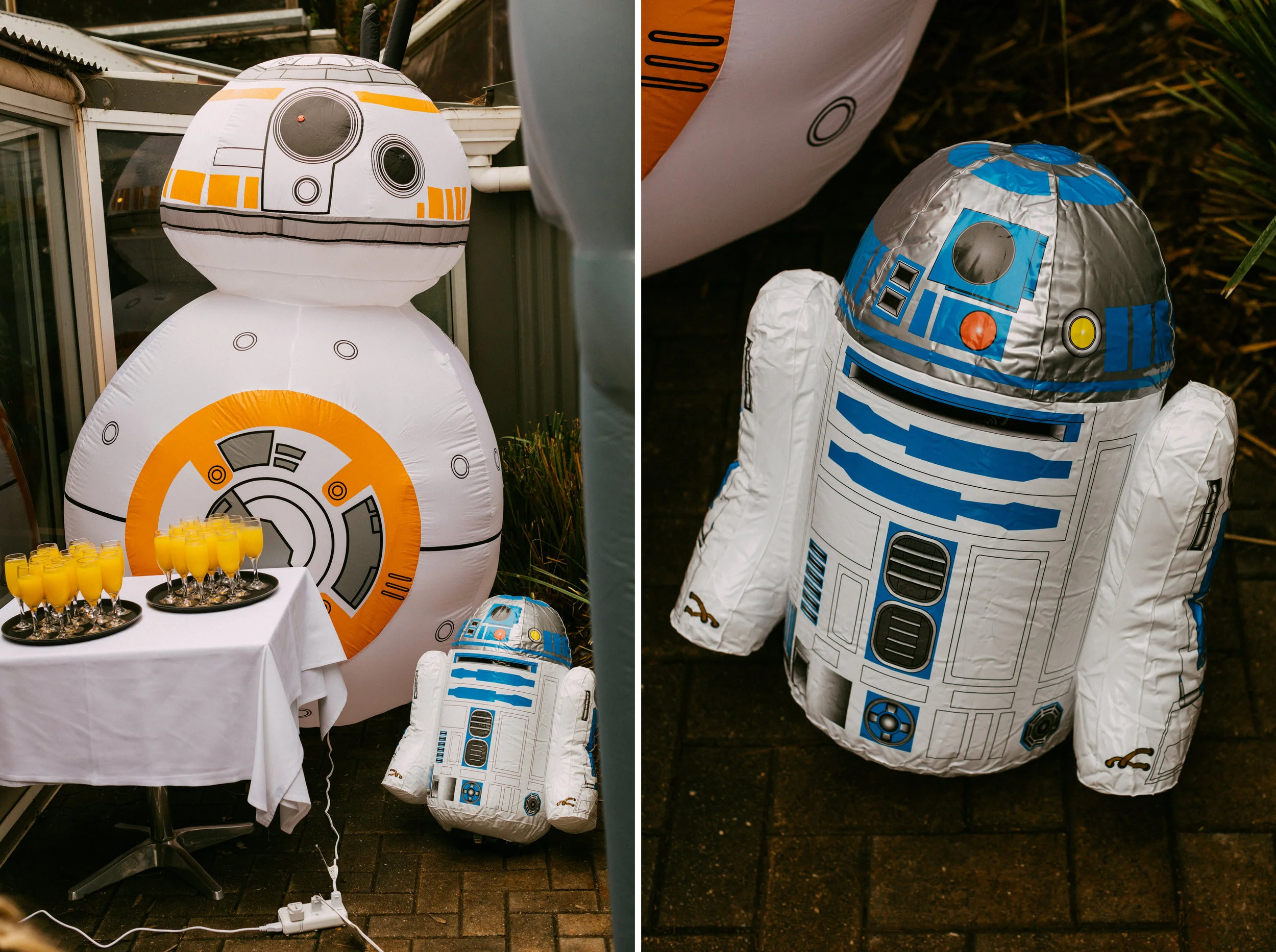 Adelaide Star Wars Theme Wedding 023.jpg