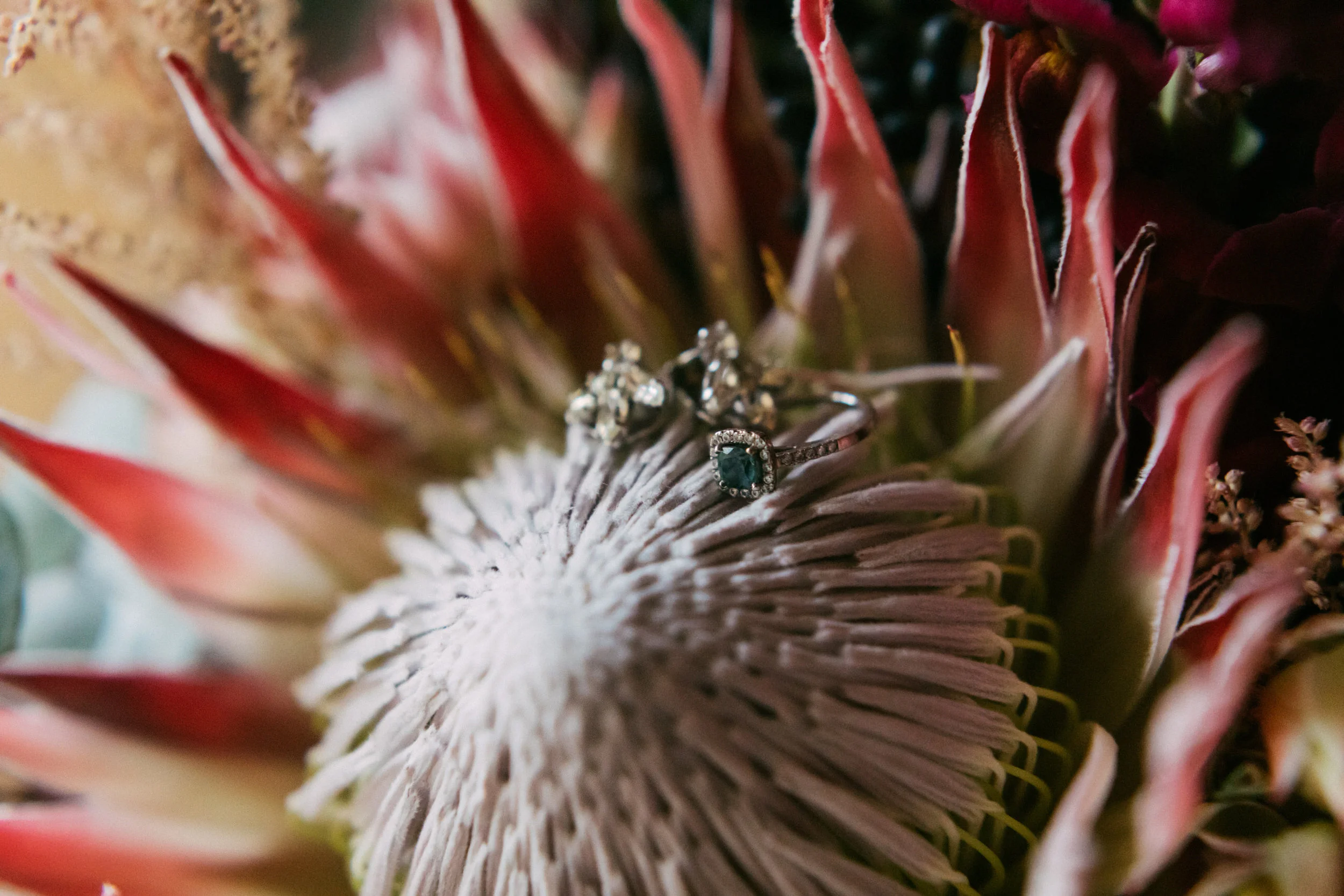 Winter Evening Wedding SA 016.jpg
