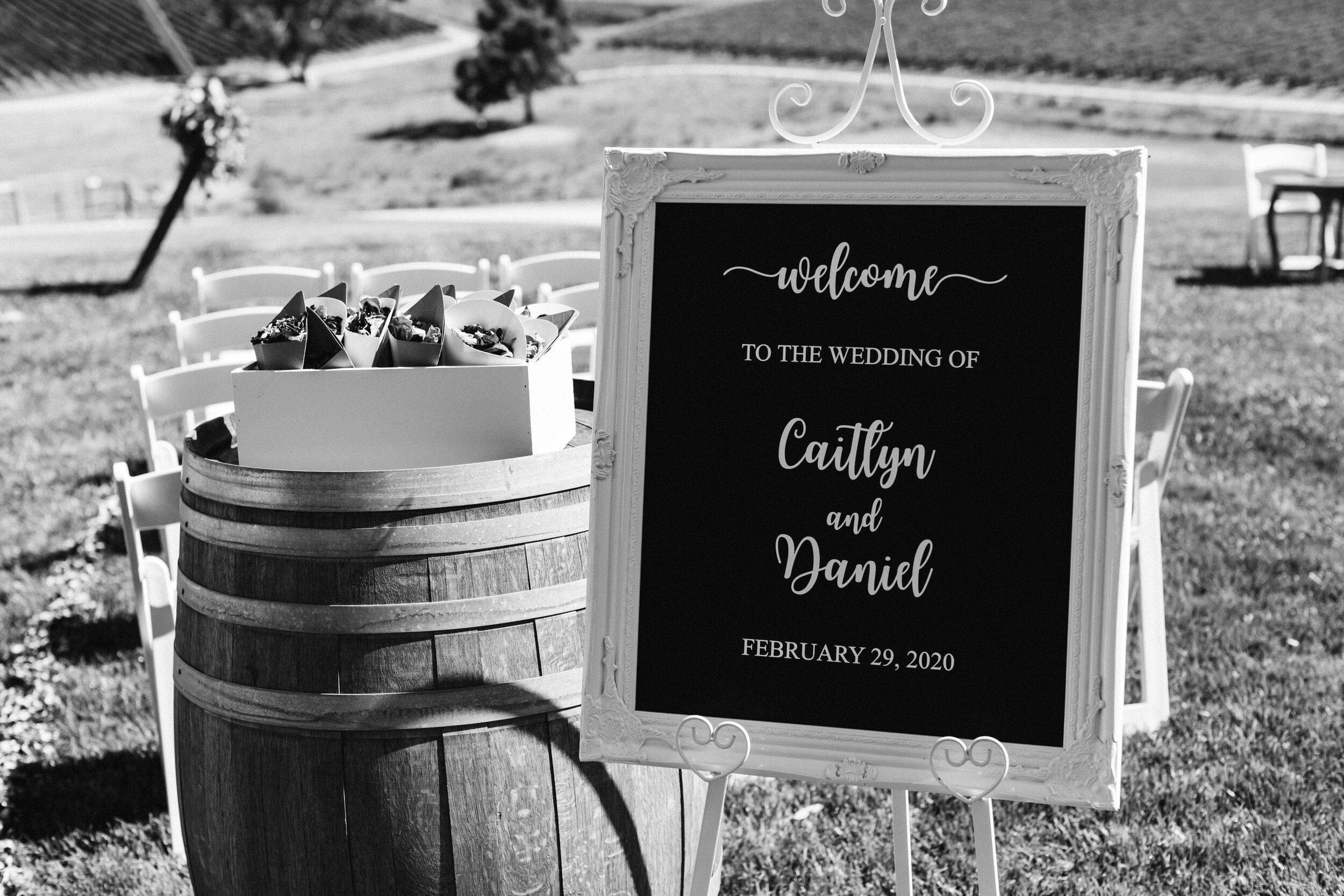 Longview Winery Wedding 047.jpg