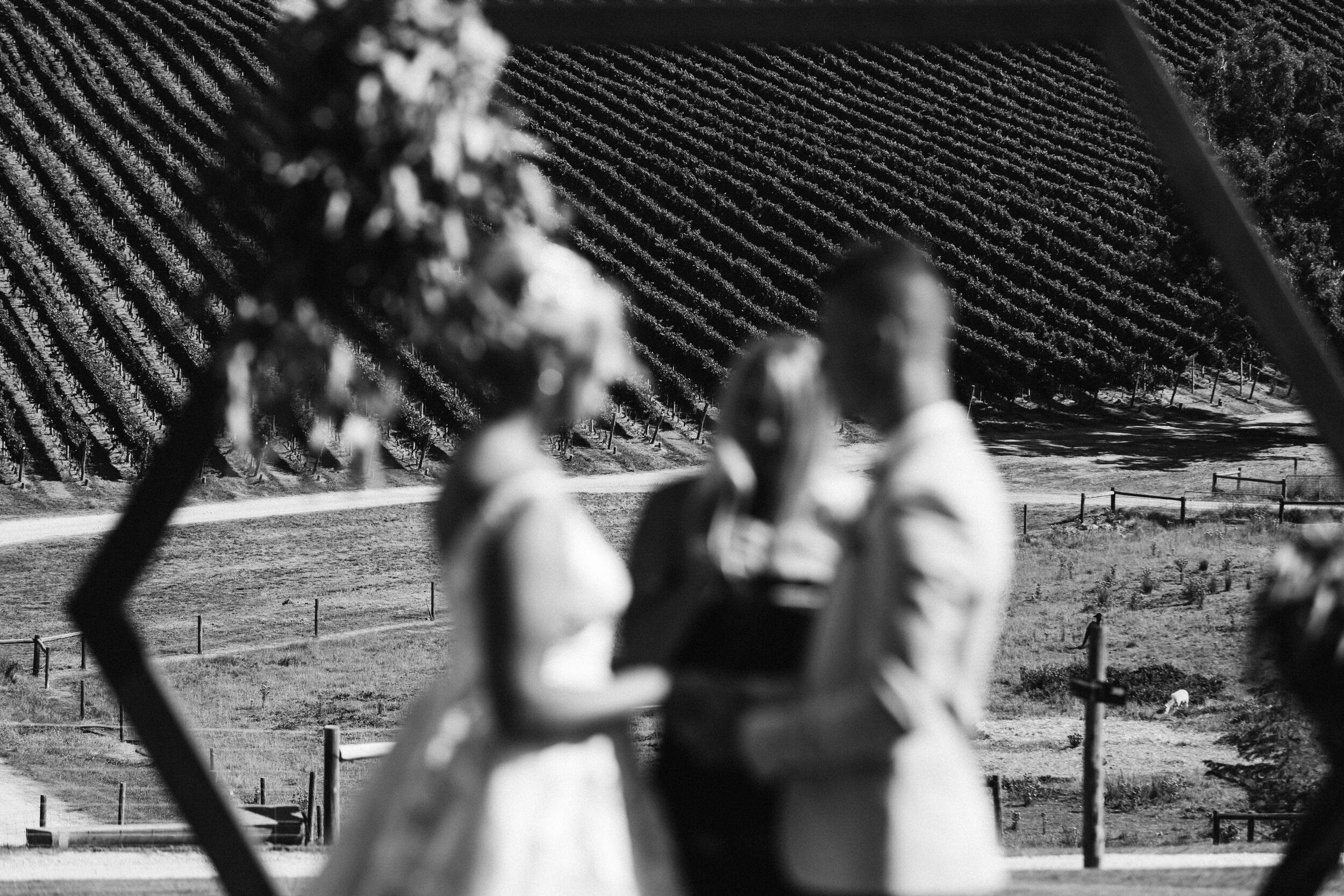 Longview Winery Wedding 076.jpg