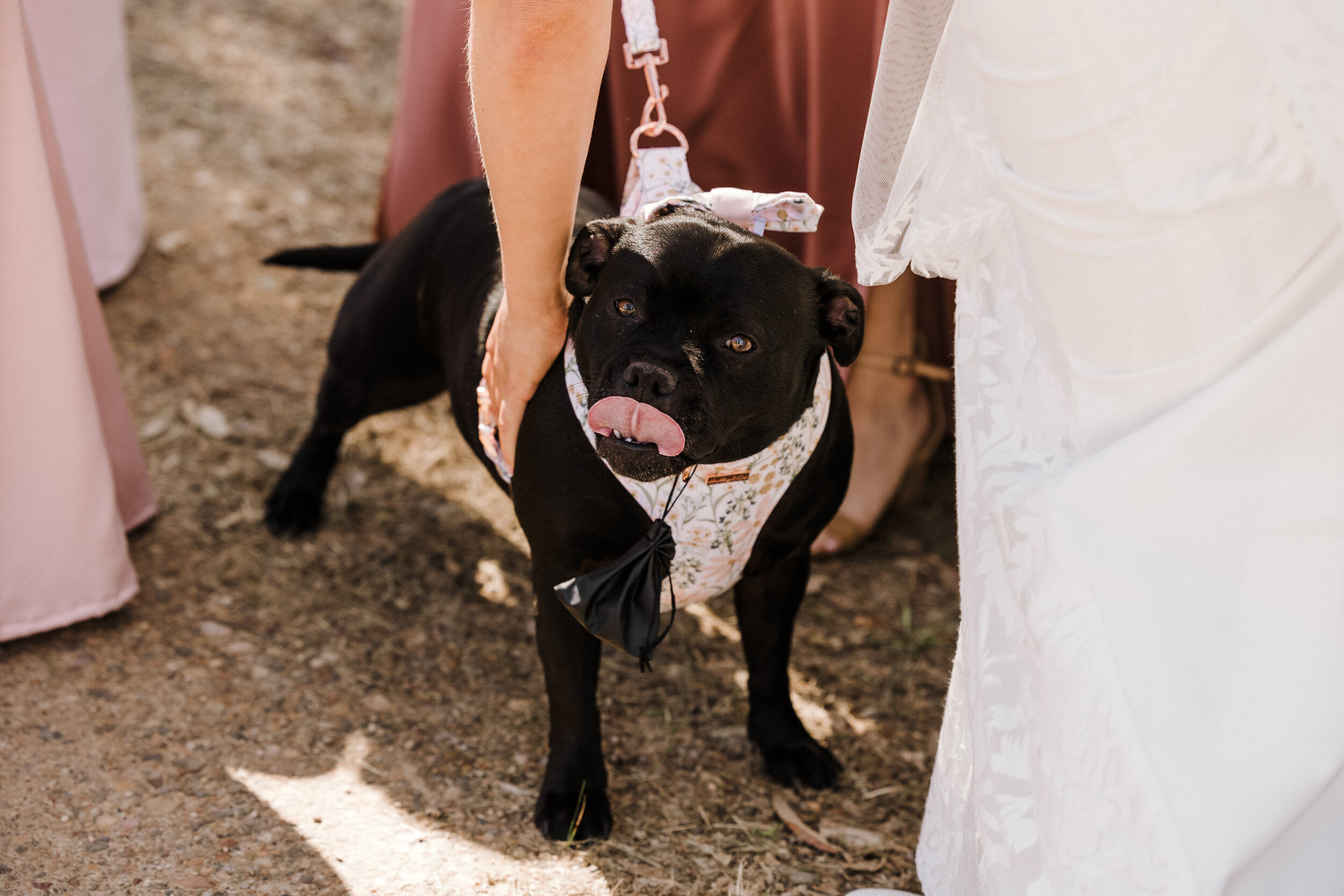 Fleurieu Cherries Wedding McLaren Vale 033.JPG