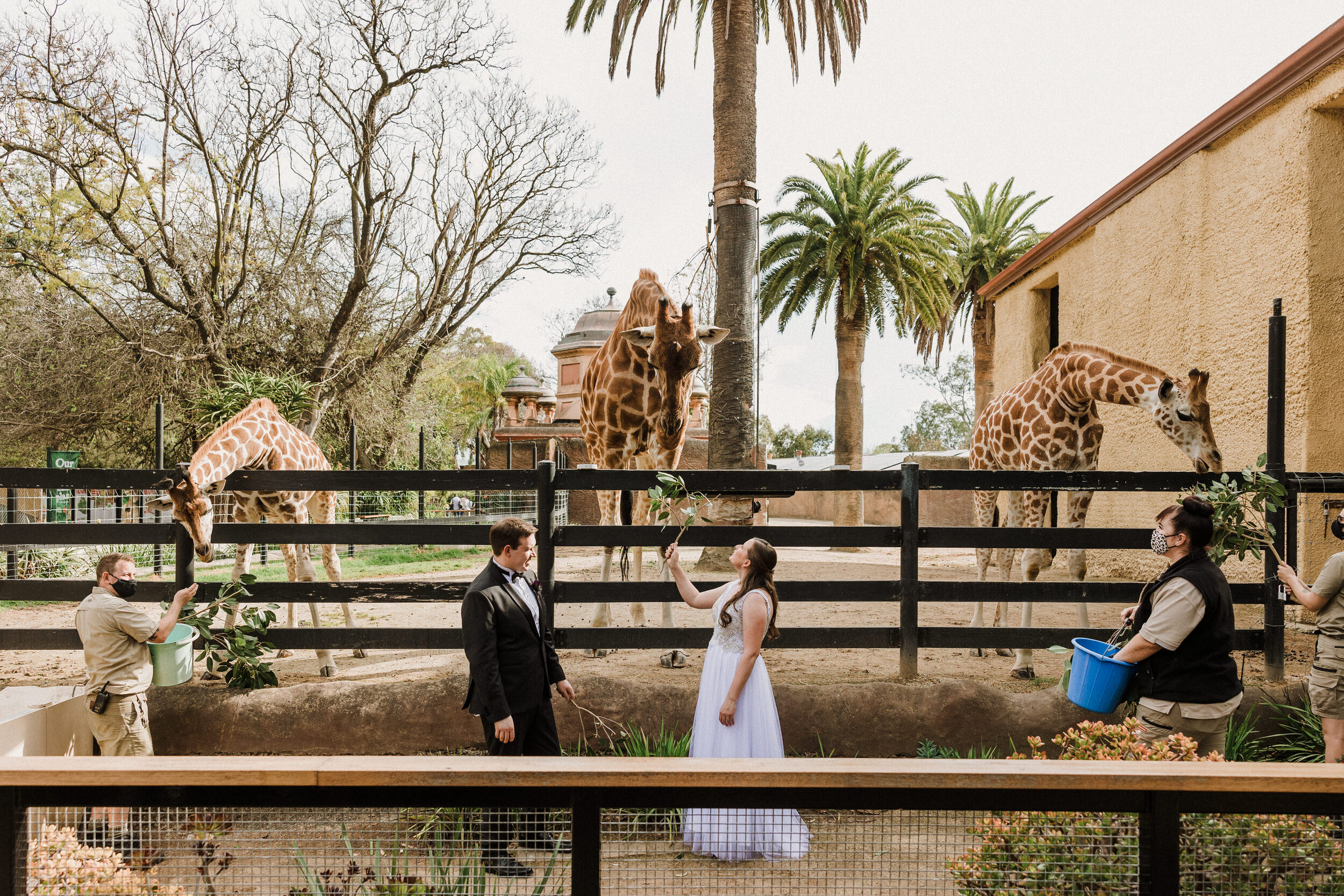 Adelaide Zoo Wedding 22.jpg