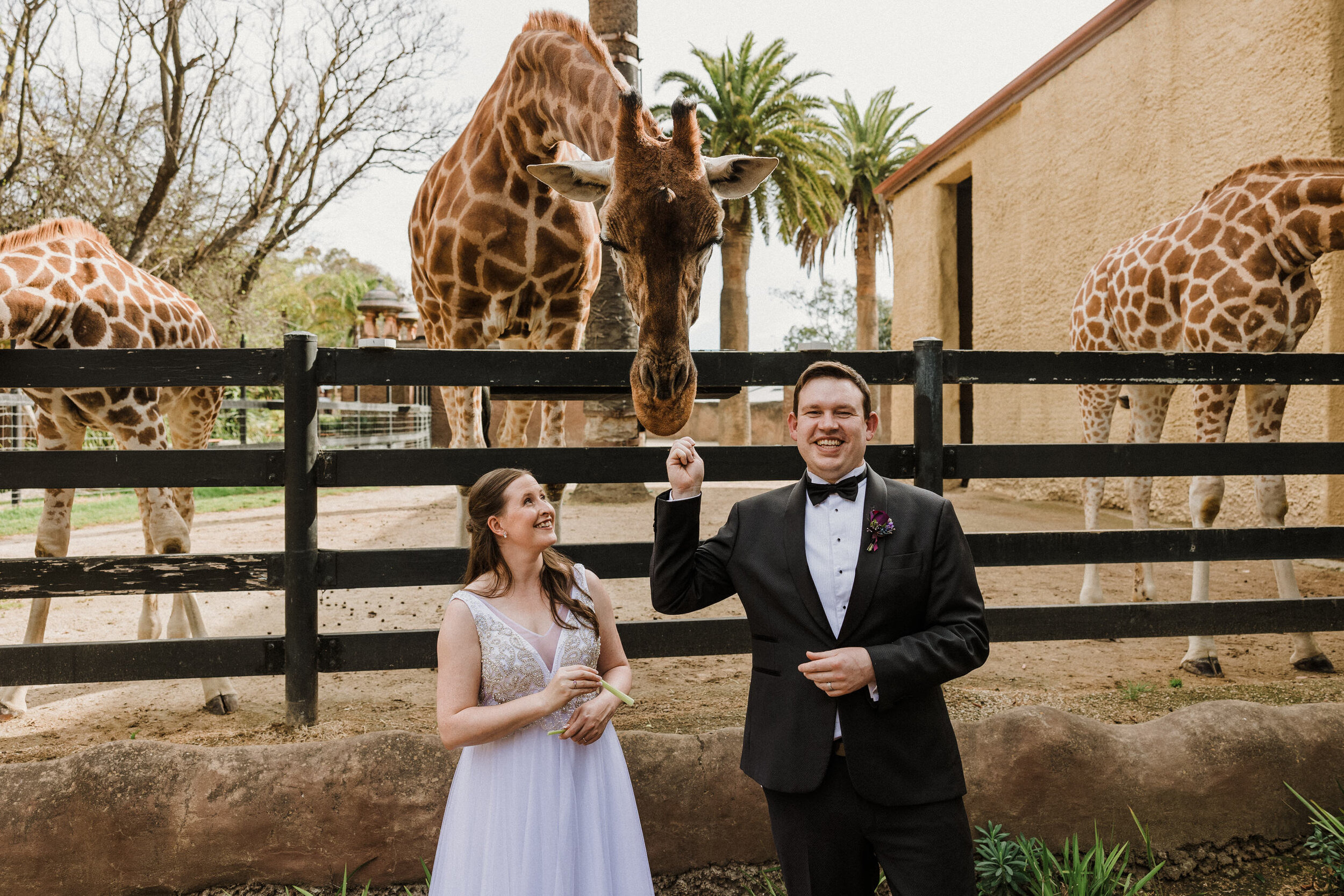 Adelaide Zoo Wedding 23.jpg