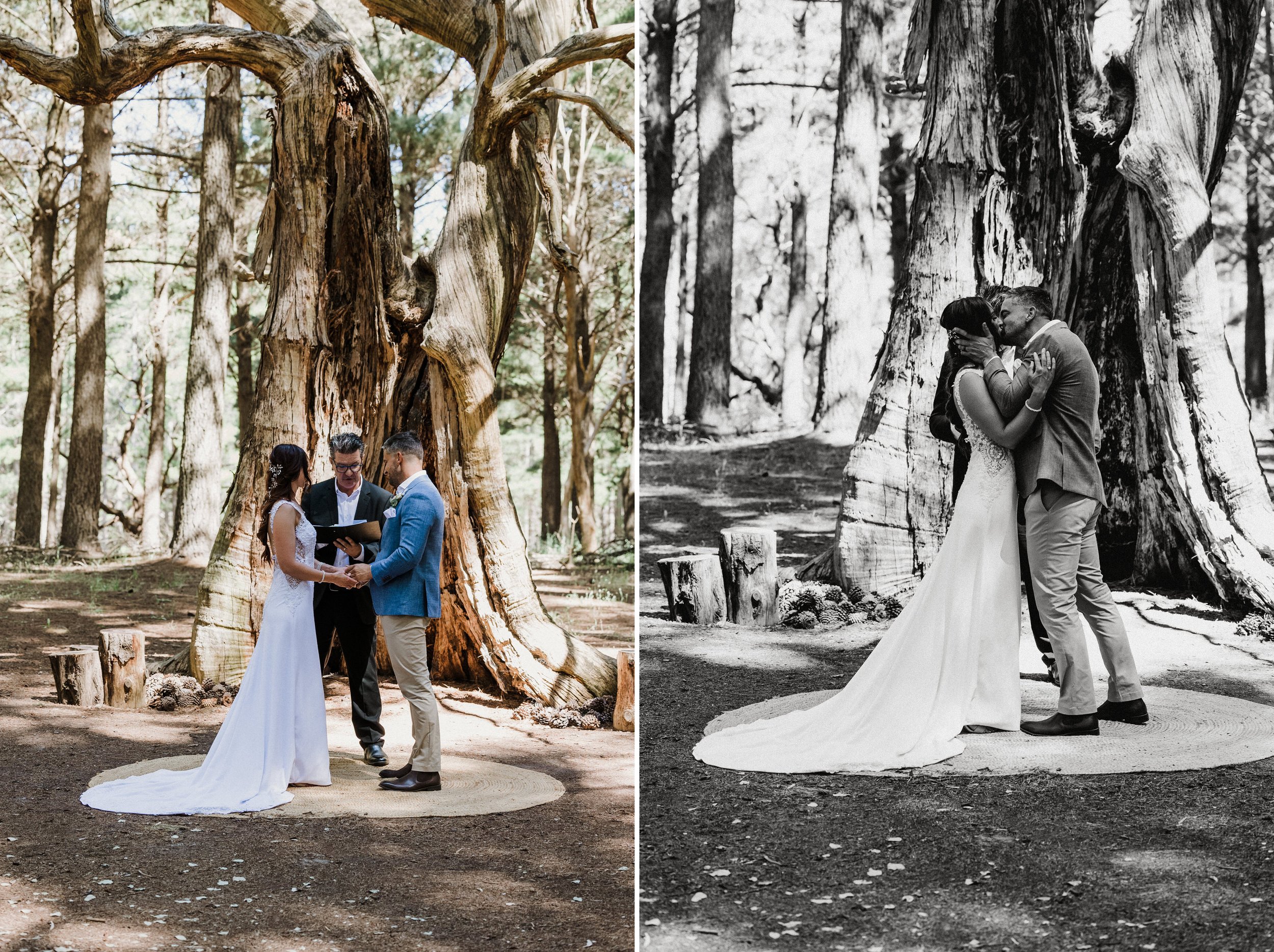 Burbrook Forest Willunga Wedding 26.jpg