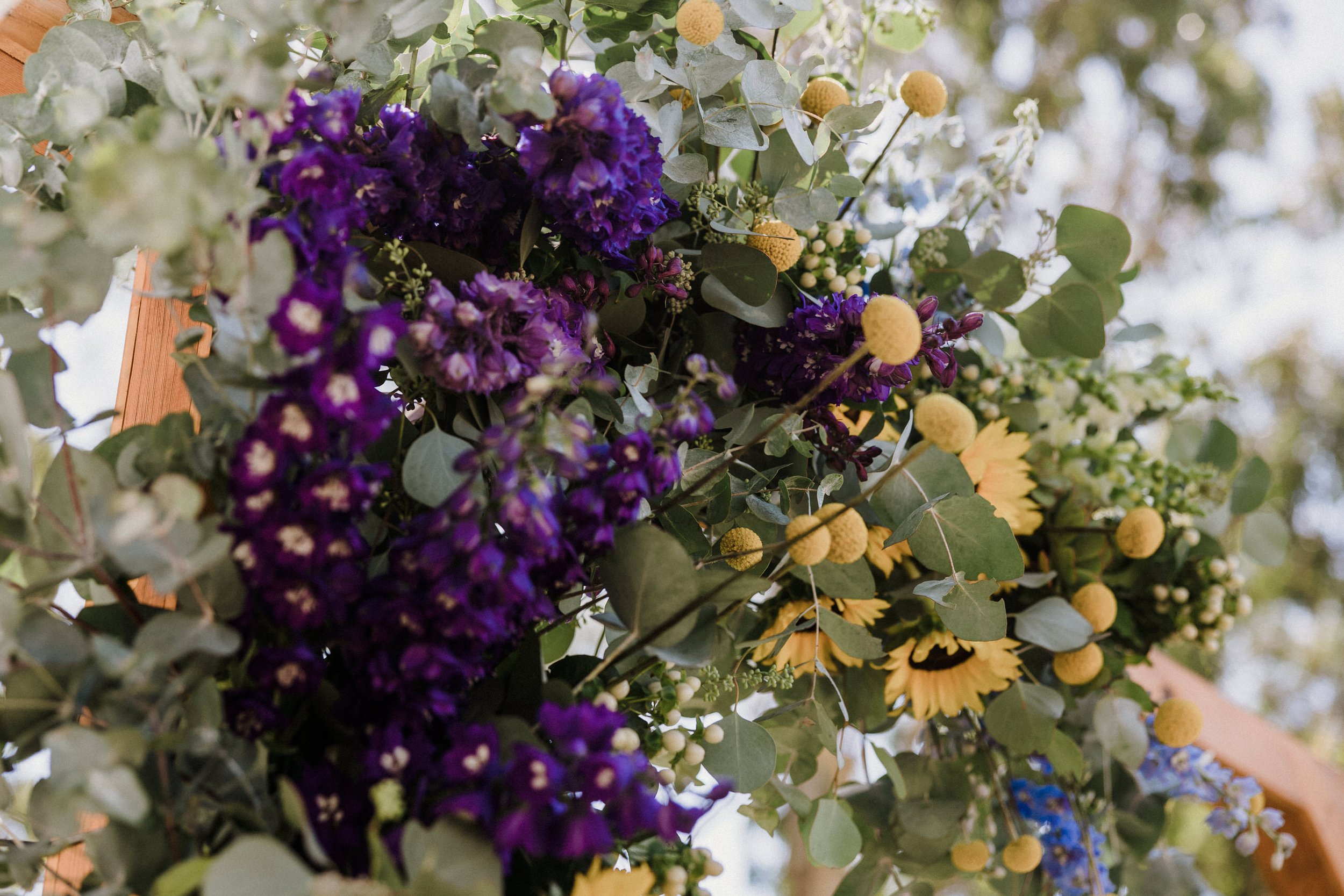 Fleurieu Cherries Wedding 074.jpg