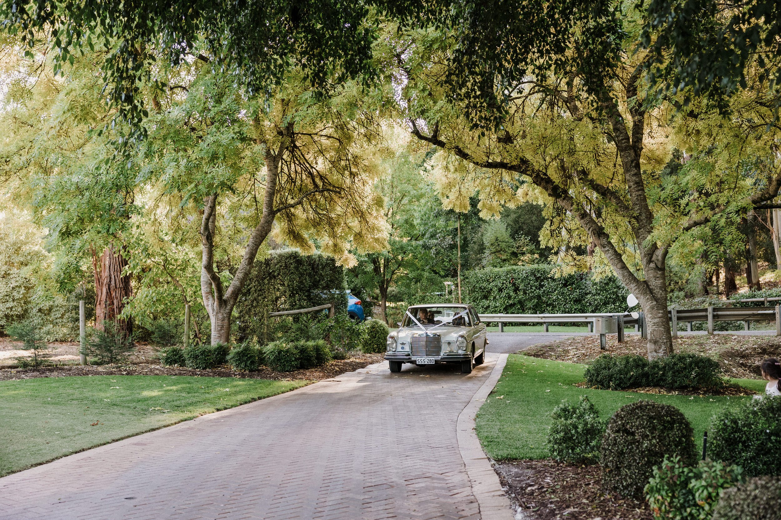 Windy Point Bird Box Wedding 07.jpg