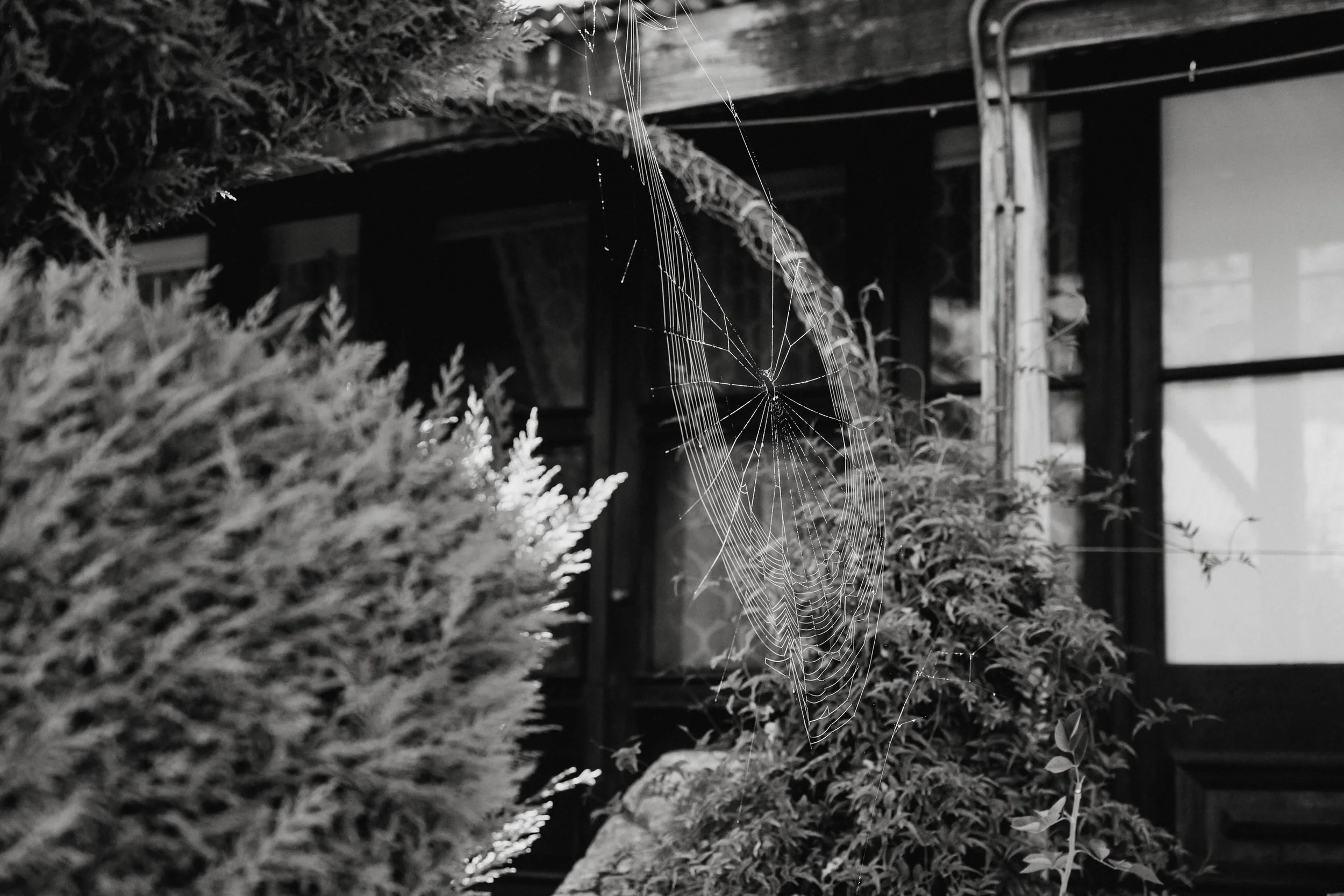 Jacobs Creek Retreat Elopement 01.jpg