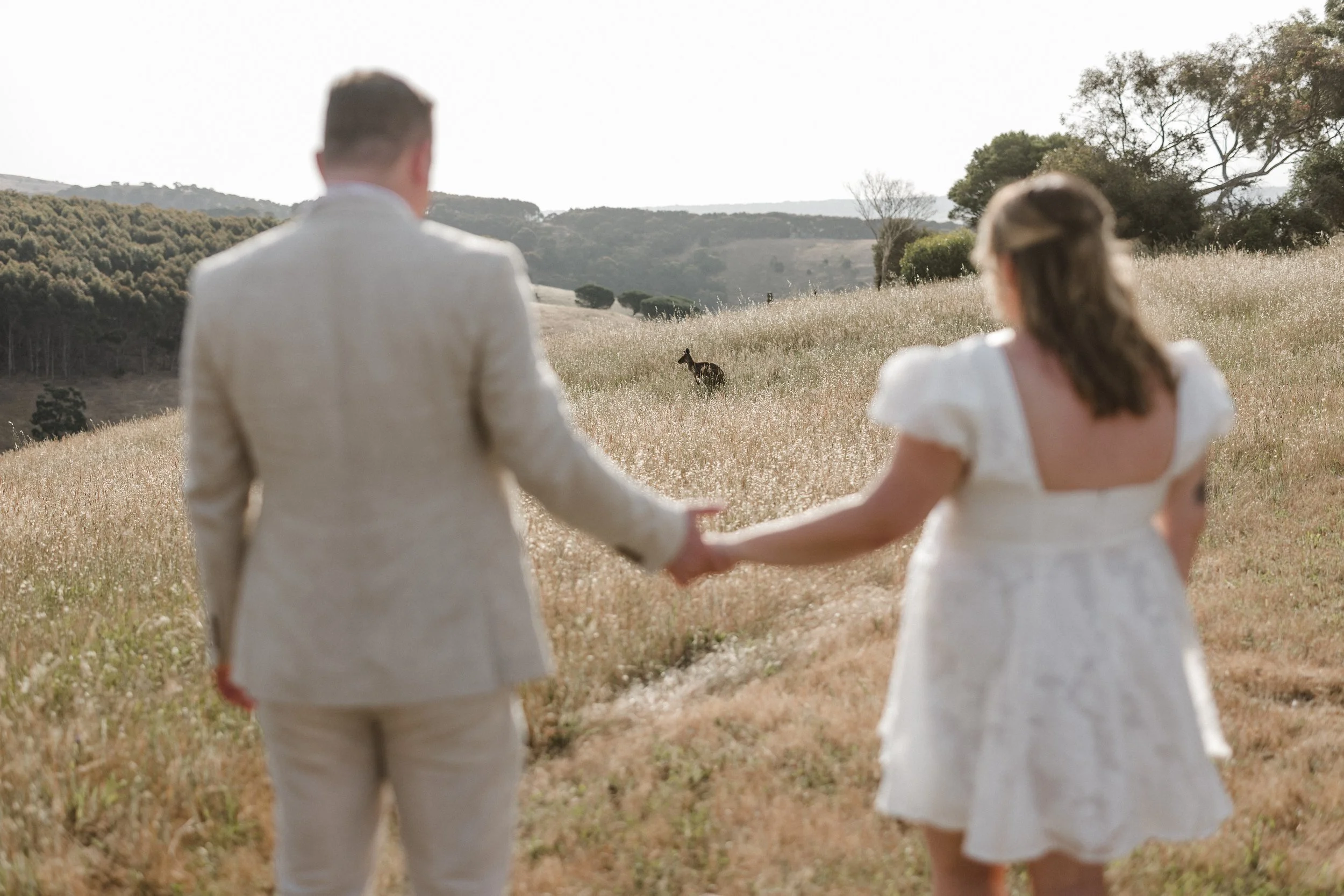 Magnolia Farm Elopement 017 kangaroo at wedding.jpg