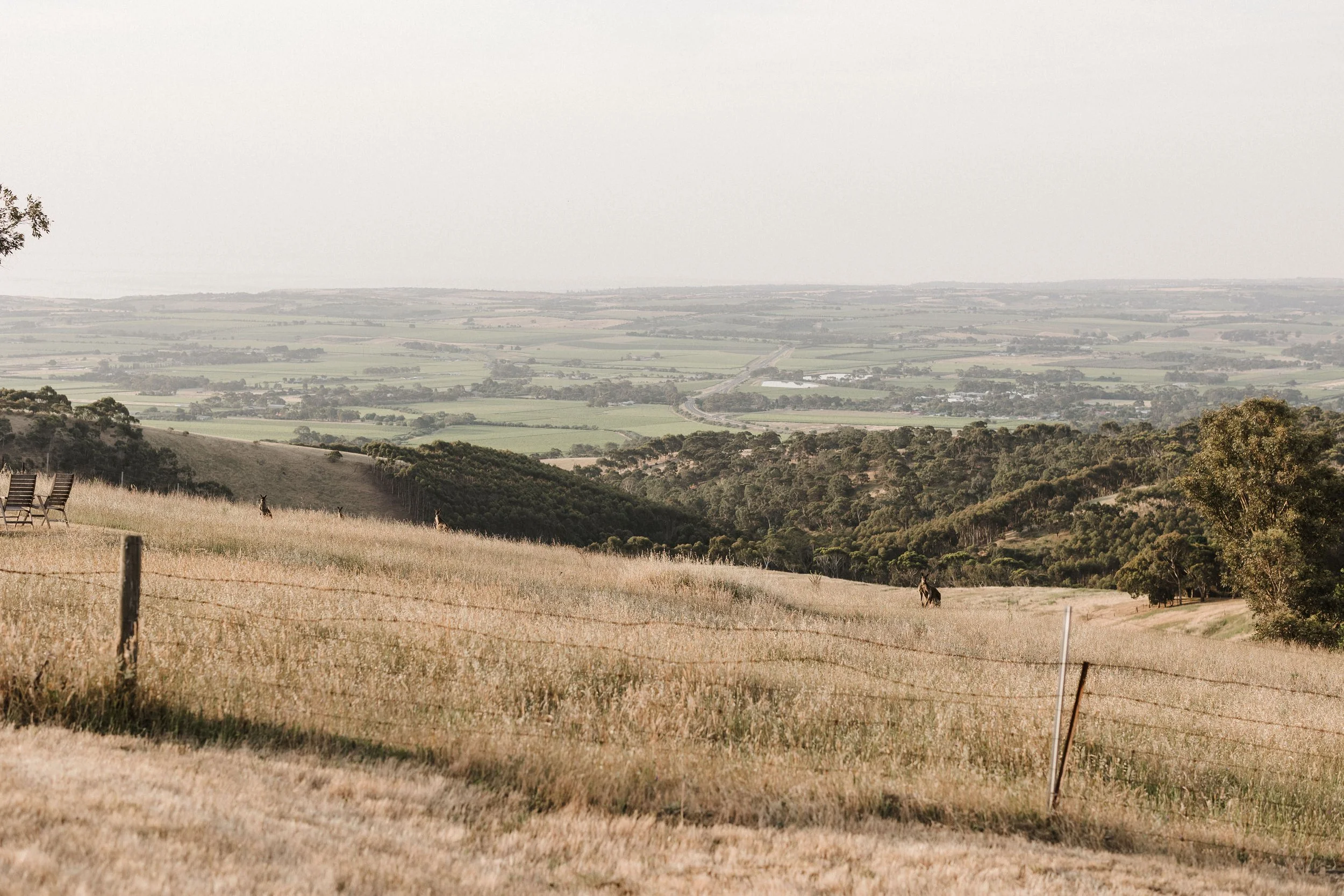 Magnolia Farm Elopement 028 view from venue.jpg