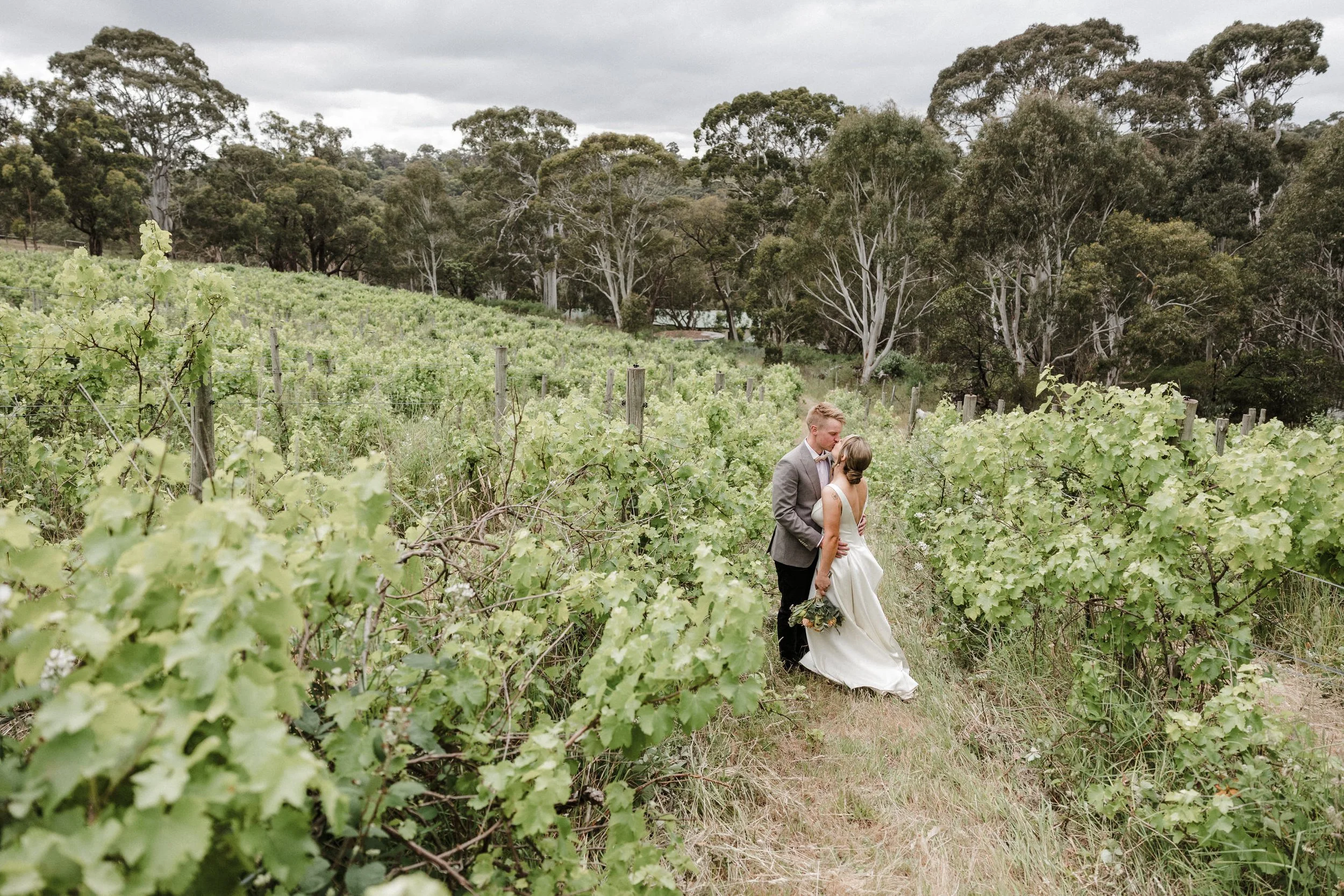Intimate Forest Wedding - Sinclairs Gully Winery 50 - couple portraits in vineyard.jpg