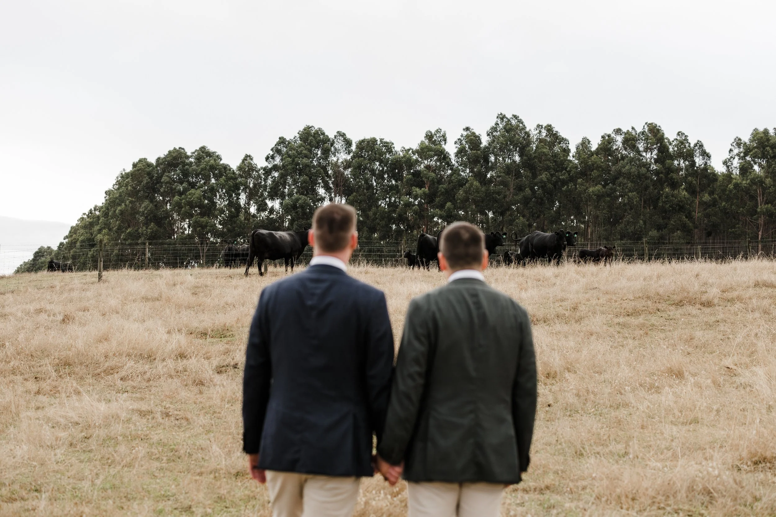 39 Mount Beare Station Wedding couple portraits.jpg