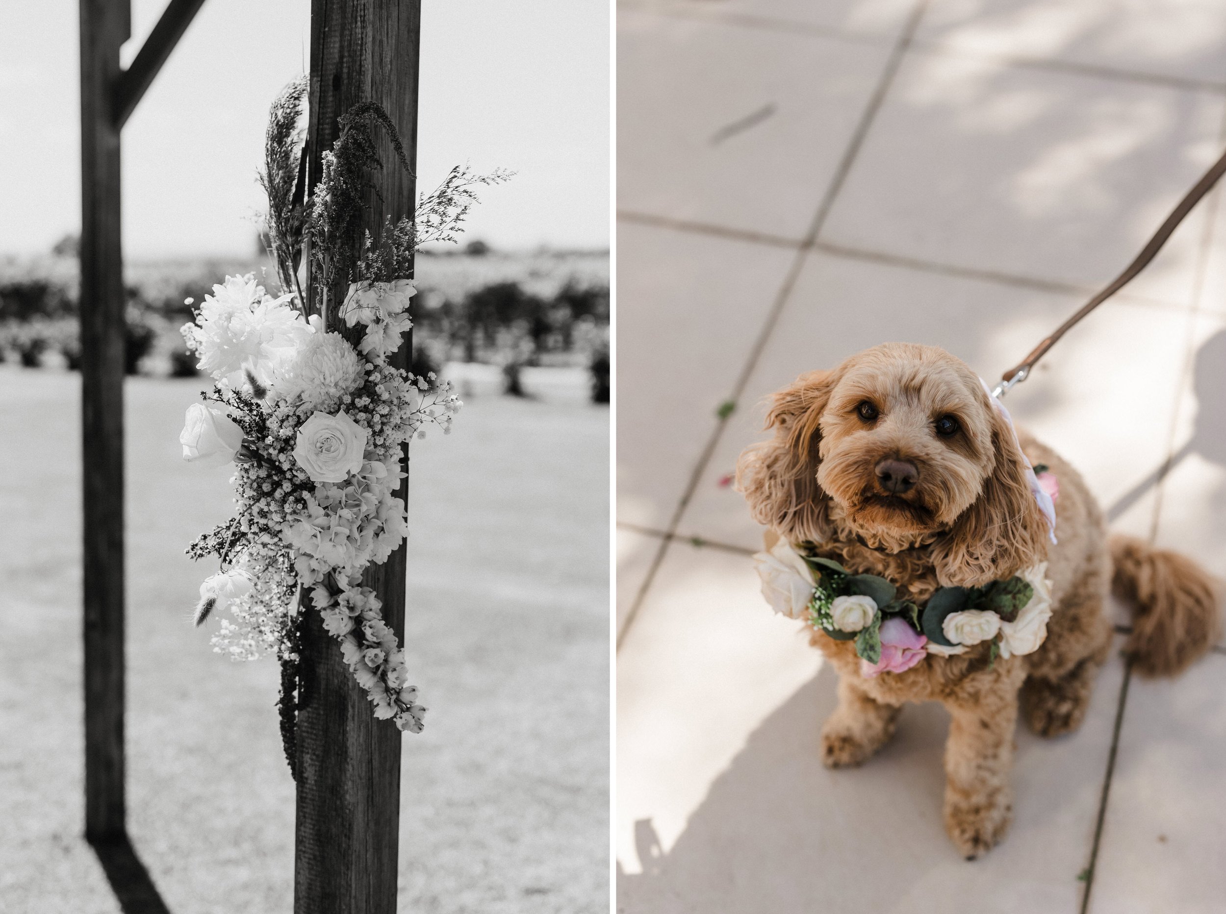 21 Lake Breeze Wines Elopement Ceremony Decor.jpg