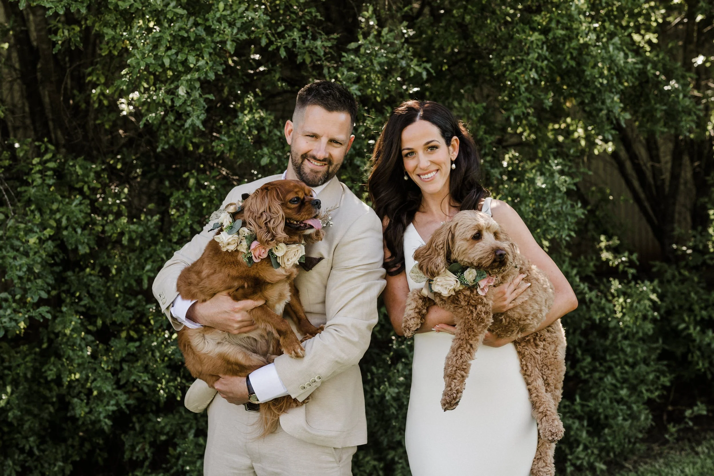32 Lake Breeze Elopement Portraits with dogs.jpg