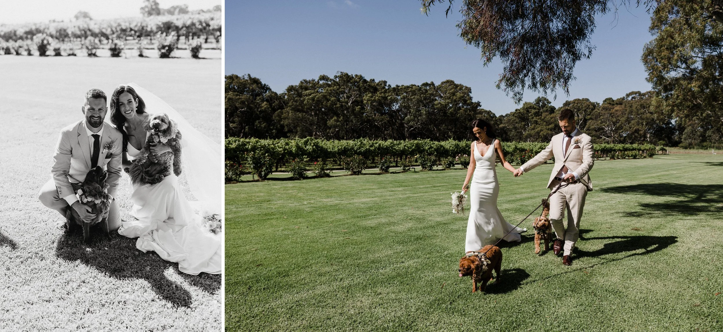 31 Lake Breeze Elopement Portraits.jpg