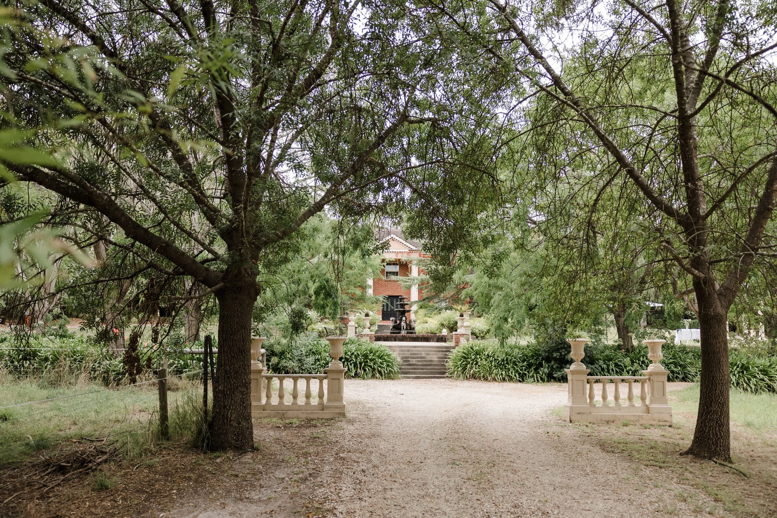 01 Manor Estate Kangarilla Elopement.jpg