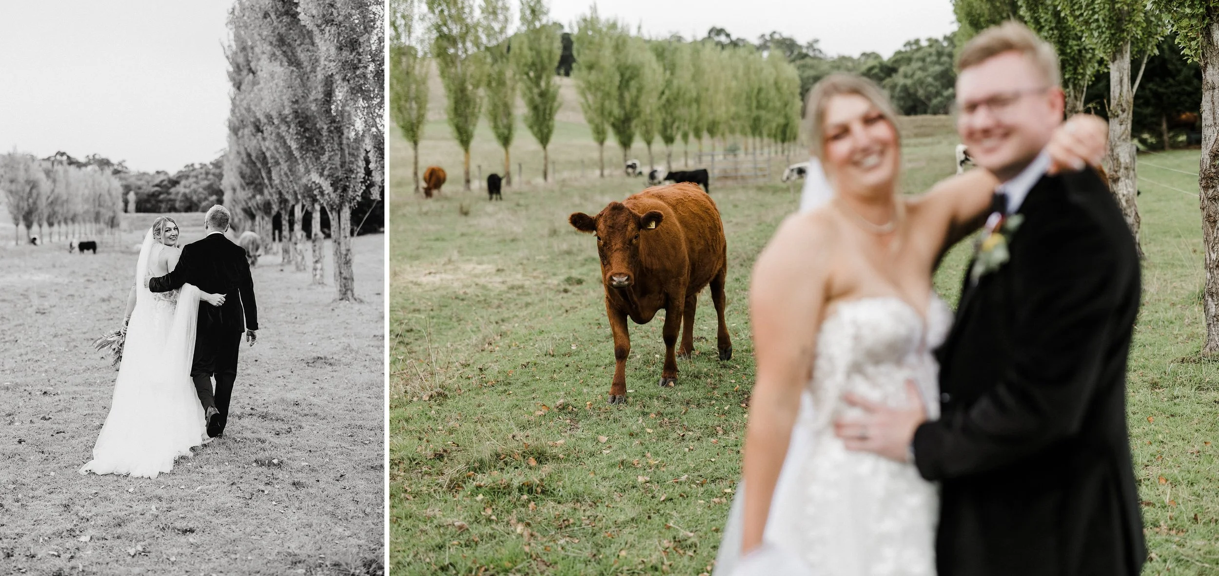 51 Little Car Photography bridal party private farm portraits.jpg