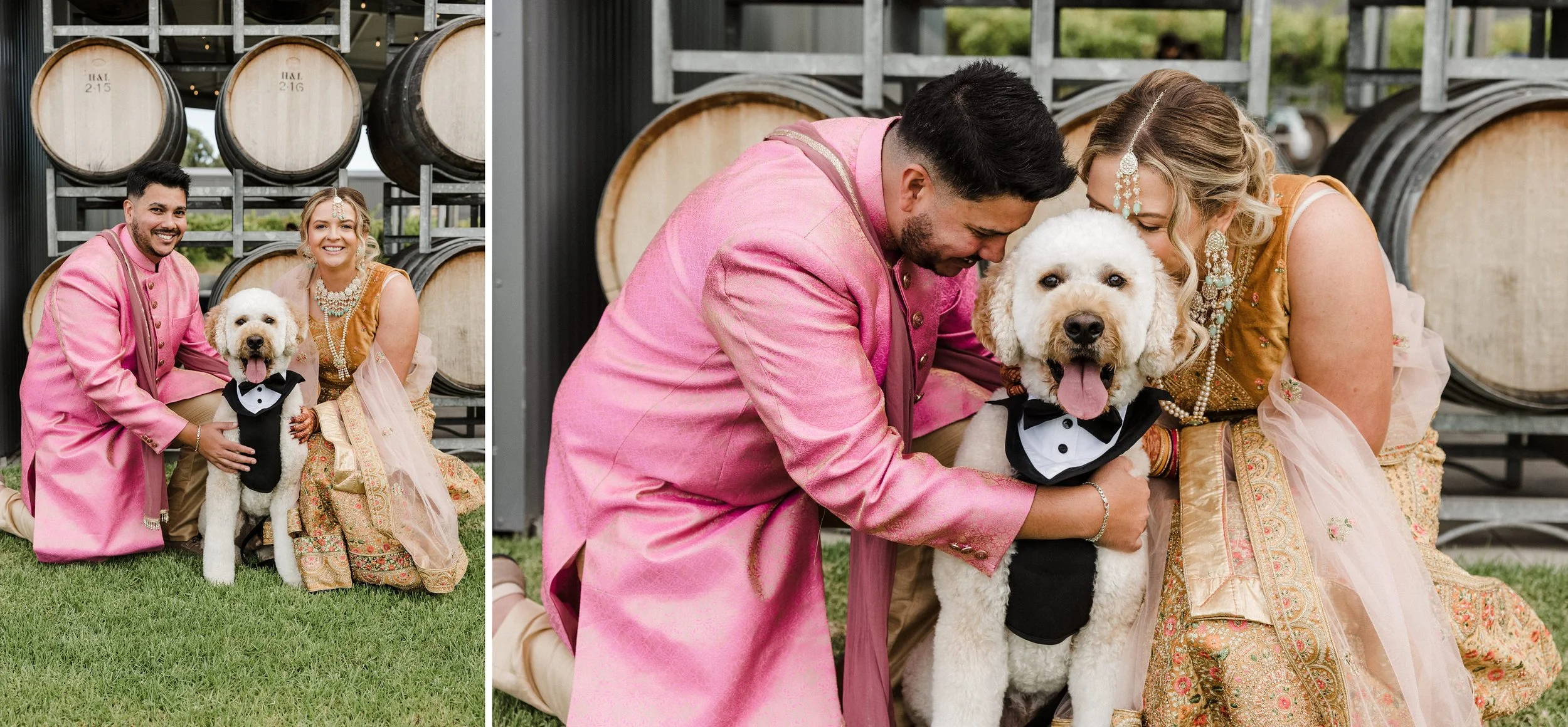 38 wedding dog fmaily photos.jpg