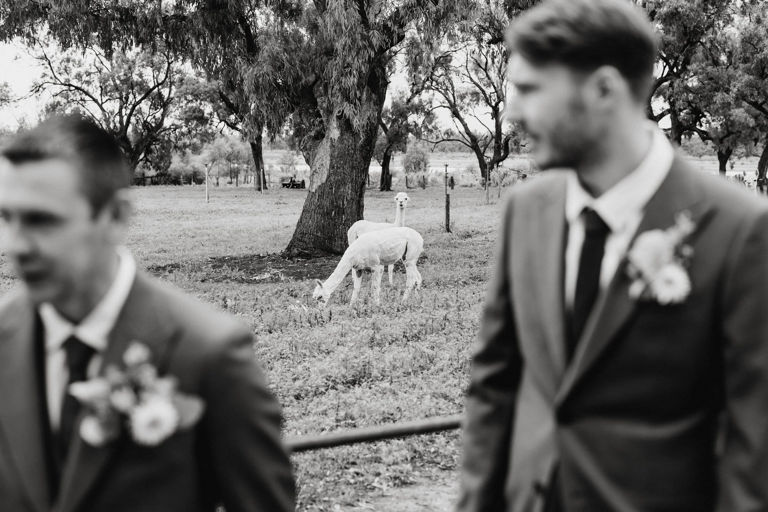 06 Riverland Groom Prep Photo.jpg