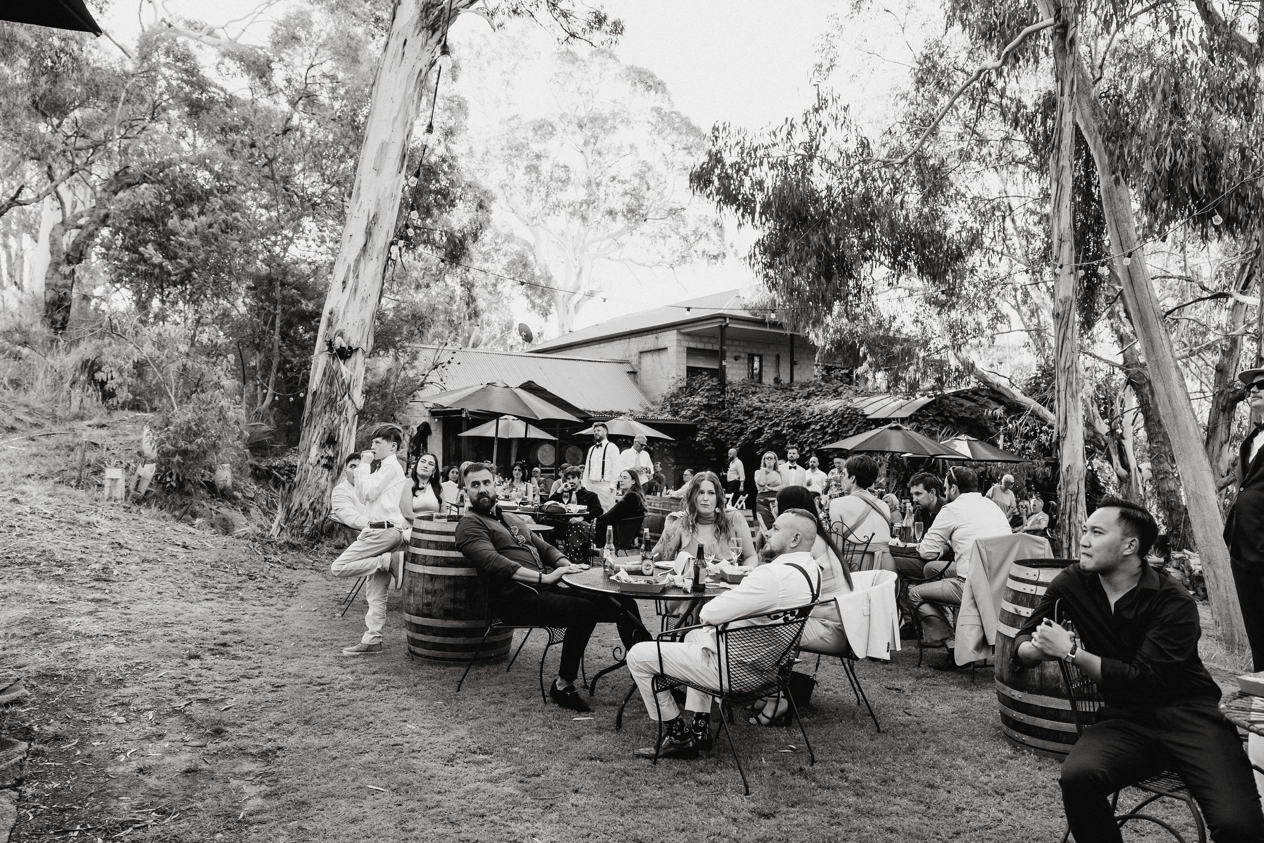 81 Sinclairs Gully Wedding Reception.jpg