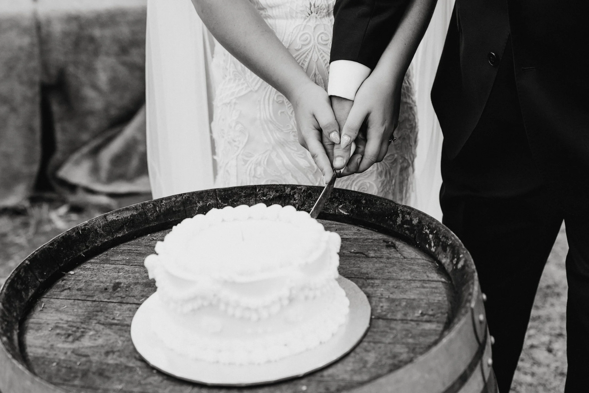 105 wedding cake cutting.jpg