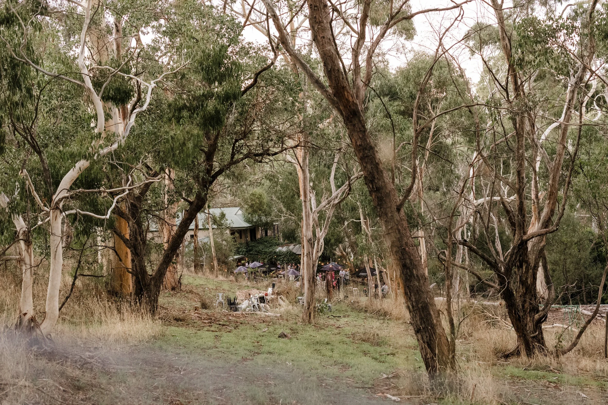 129 sinclairs gully sunset portraits.jpg