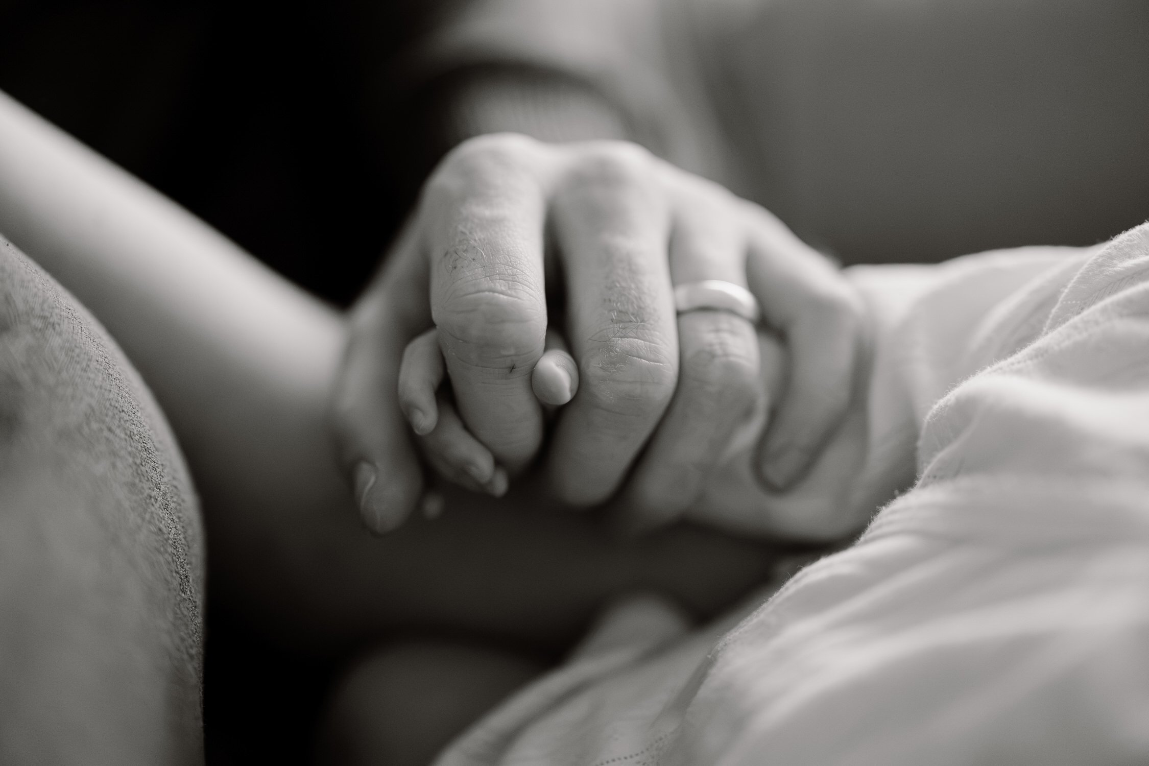 10 Natural Newborn Portraits at Home Clare Valley holding tiny hands.jpg