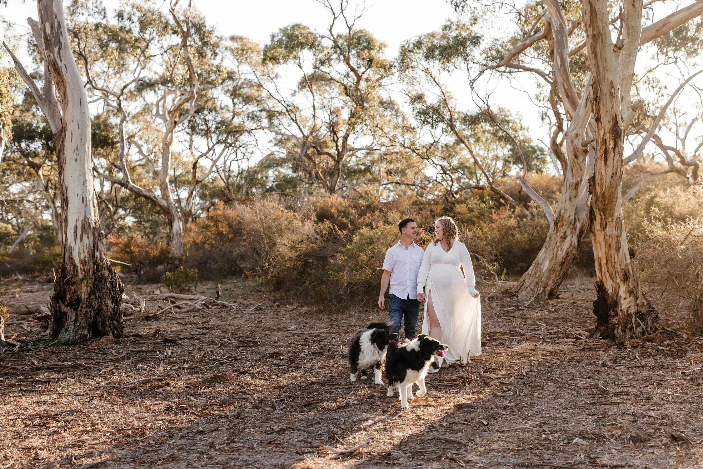 06 Auburn Clare Valley Farm Maternity Portraits in the scrub with dogs.jpg